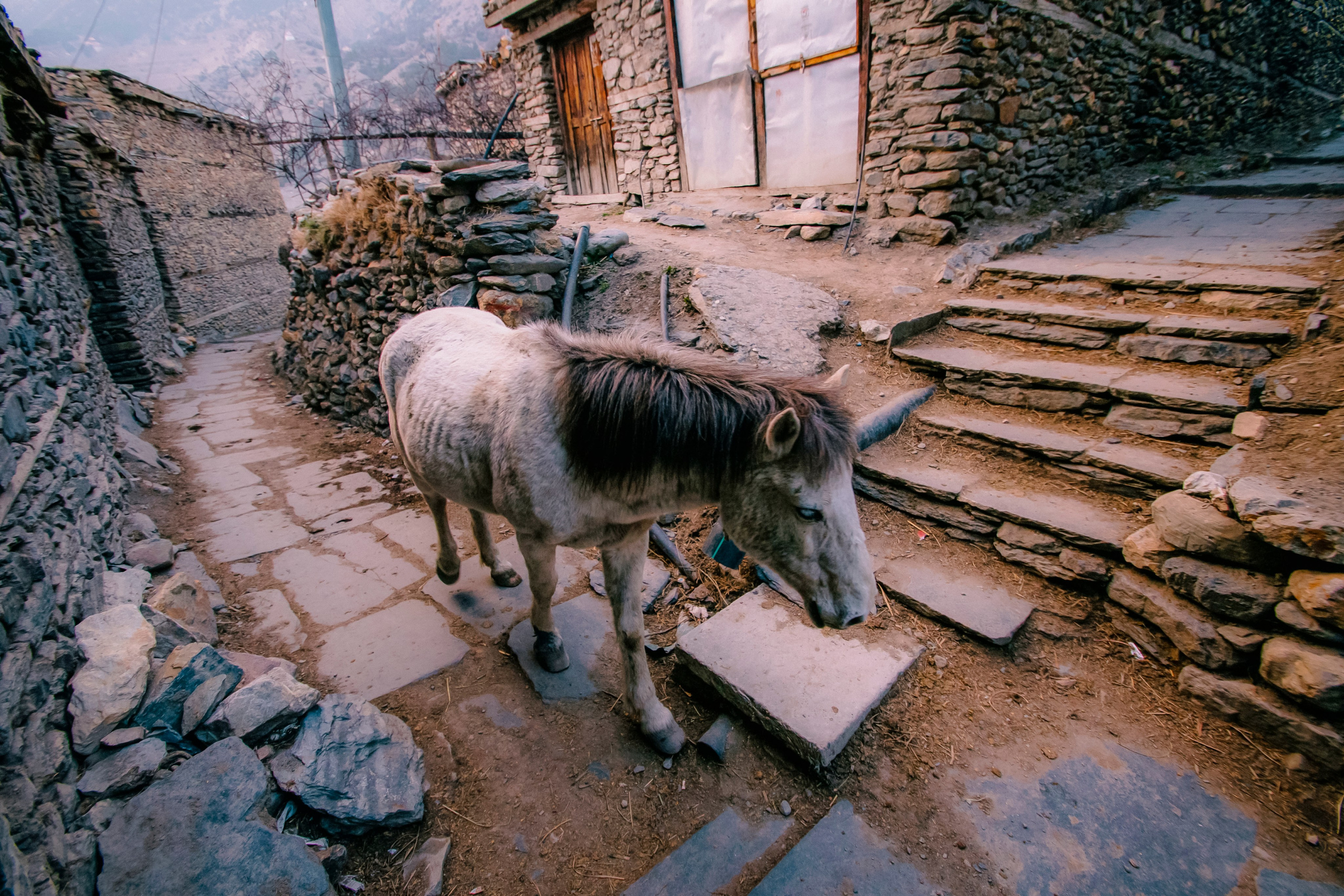 Annapurna trek. Iraogo