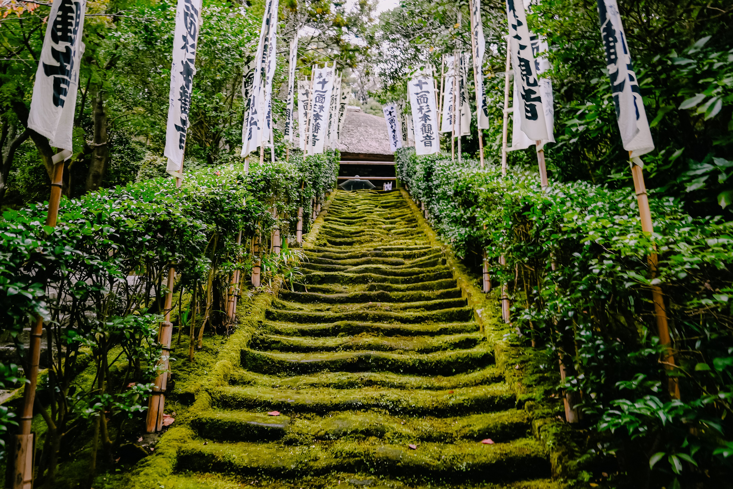 Japan village. Iraogo