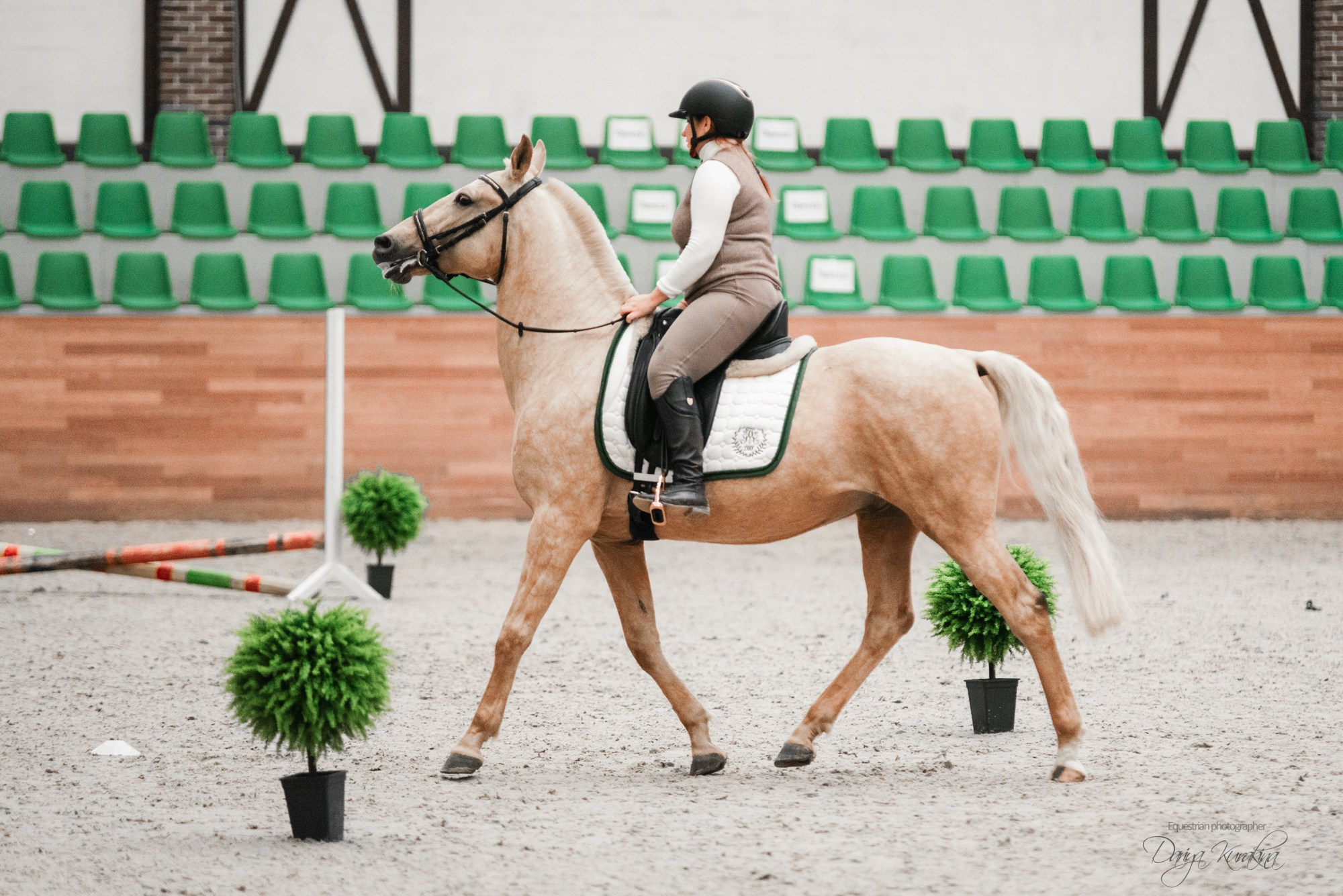 8-я международная выставка Конная Россия. Конный фотограф Куракина Дарья • Фотосессии с лошадьми