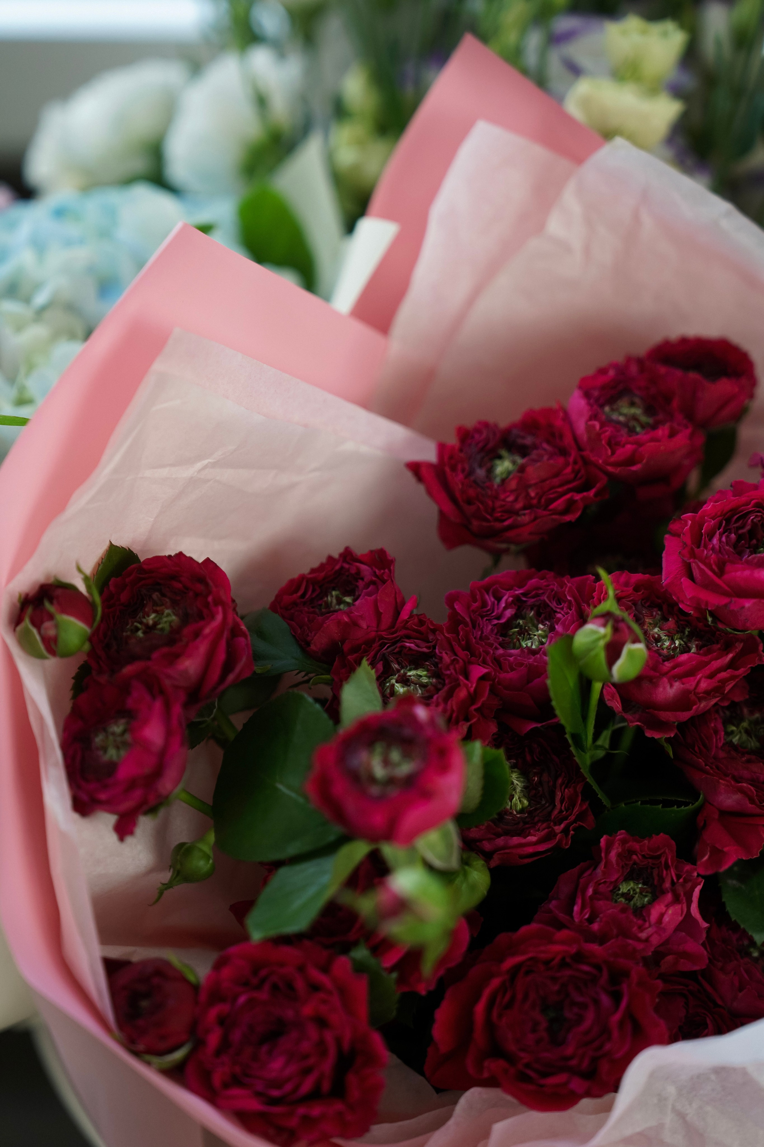 День рождения Александры. Фотограф с психологическим образованием