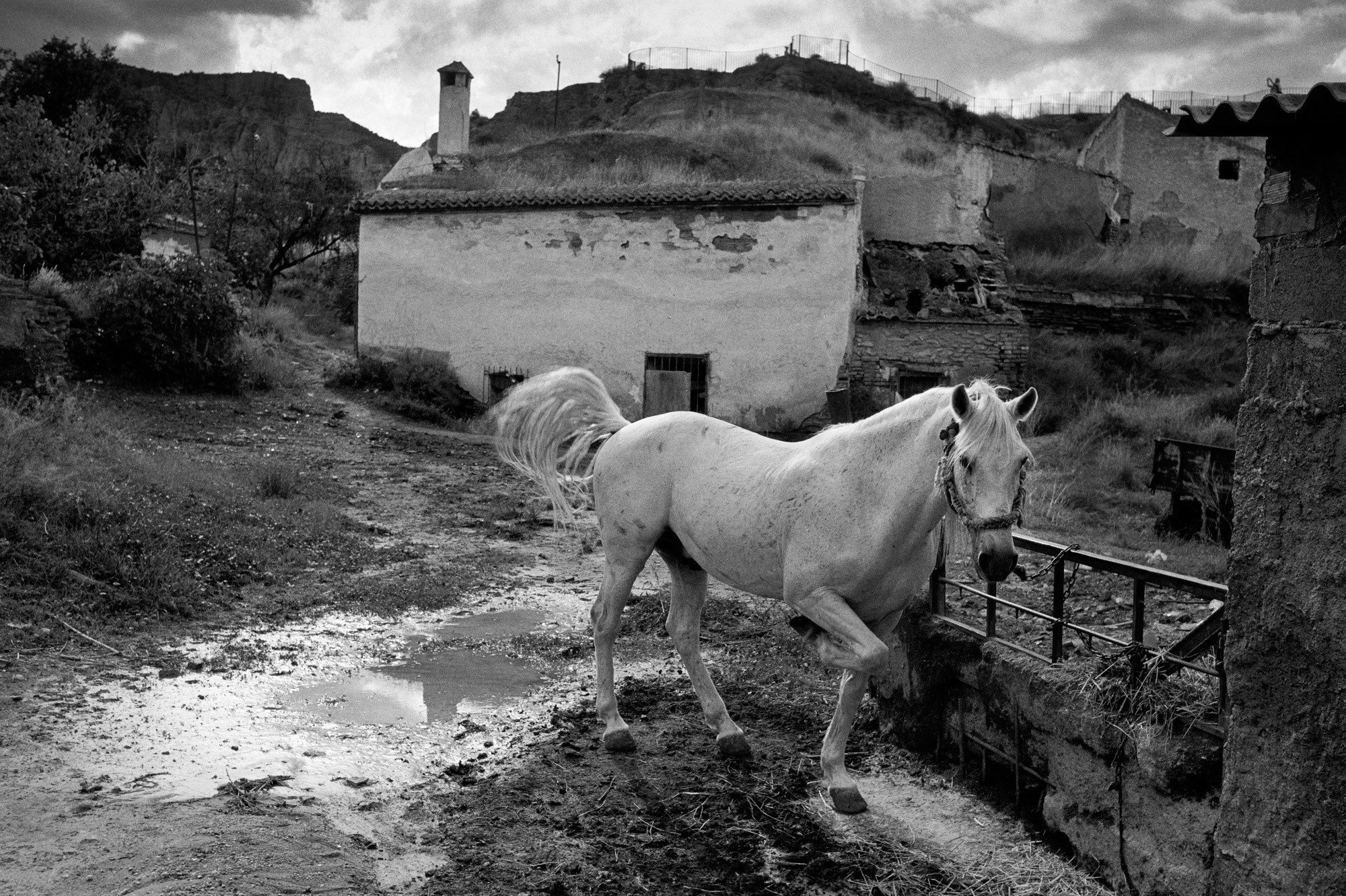 Memories of Spain. Документальный фотограф Алексей Мякишев, Москва