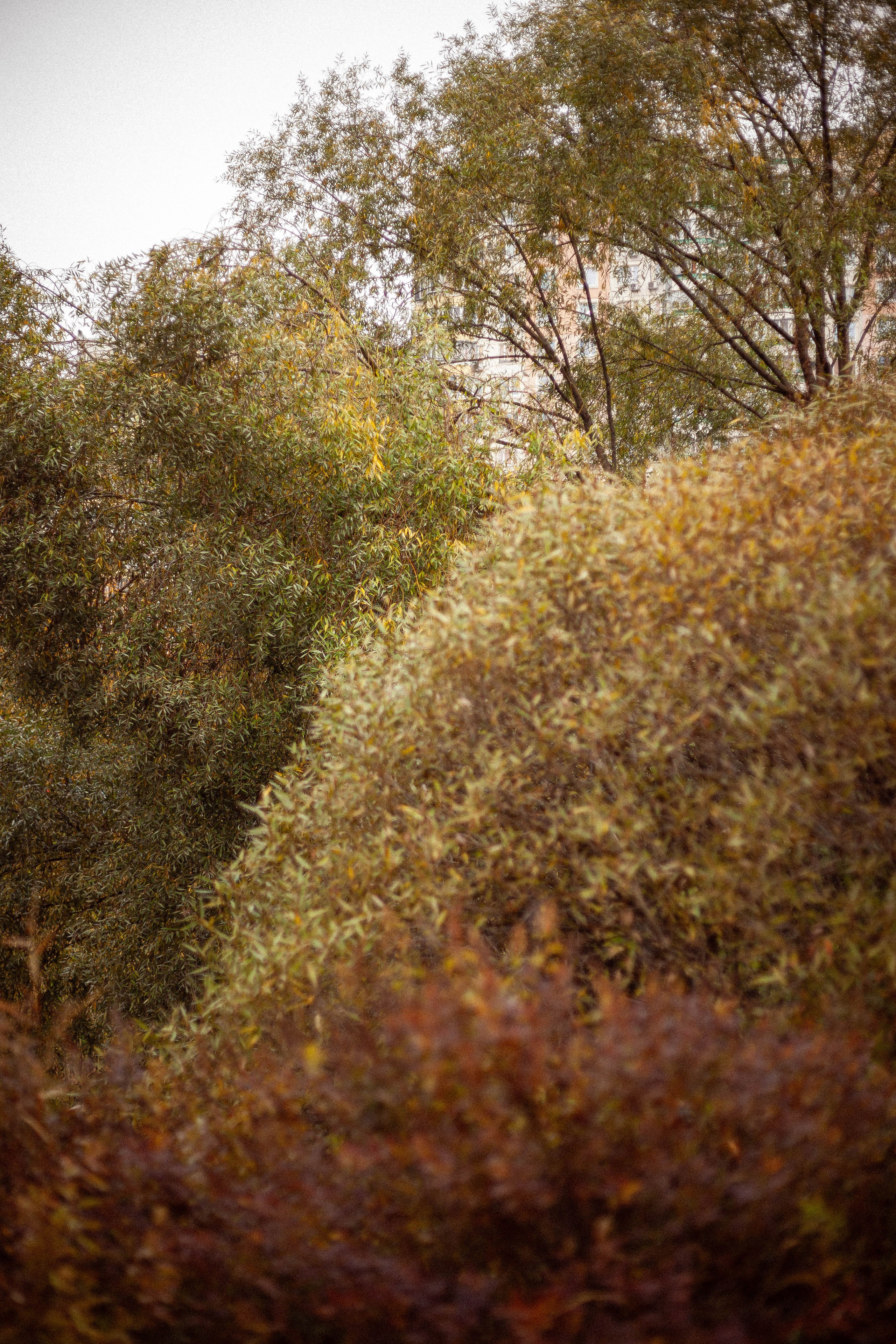 Осенняя серия. Фотограф в Москве. Екатерина Митина