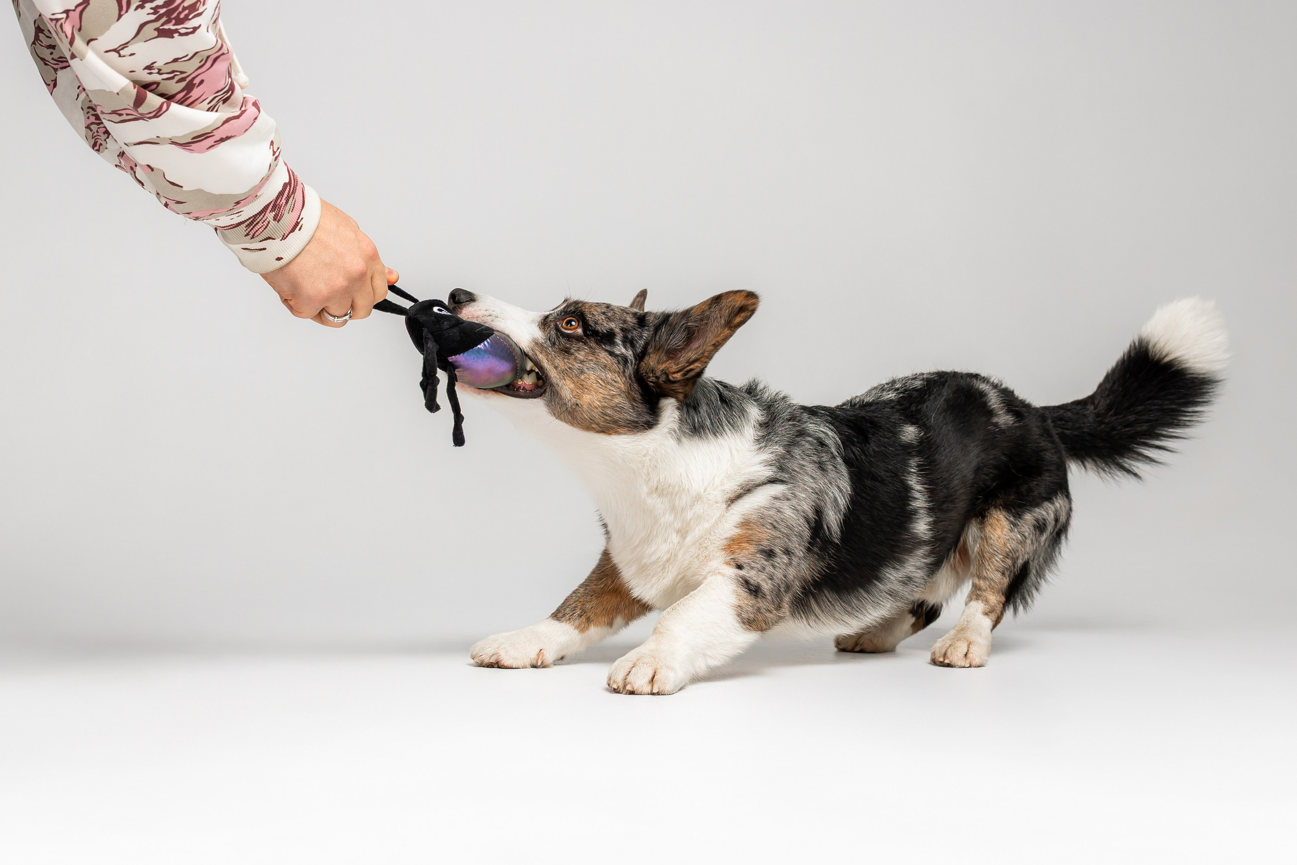 Анатолий и Рагнар