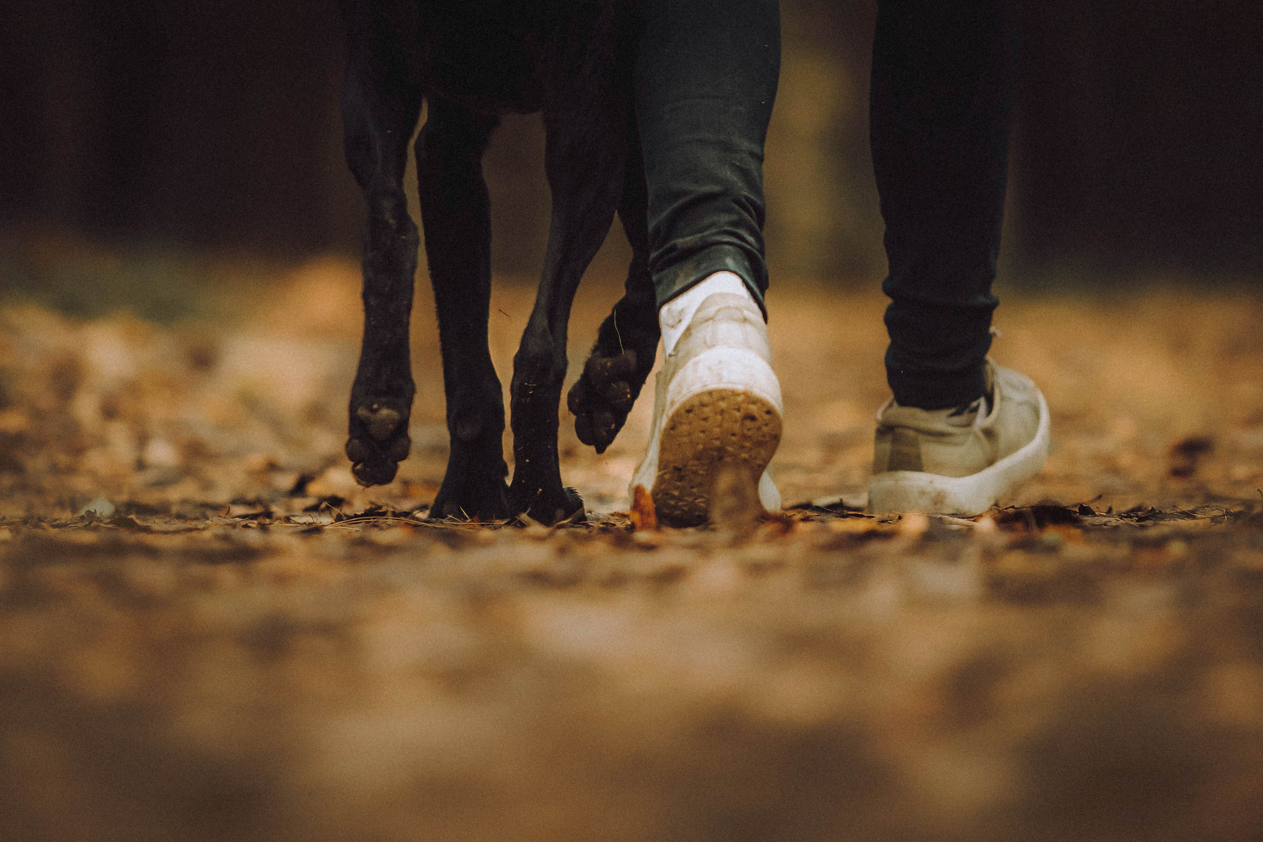 Аня, Нео и Луна