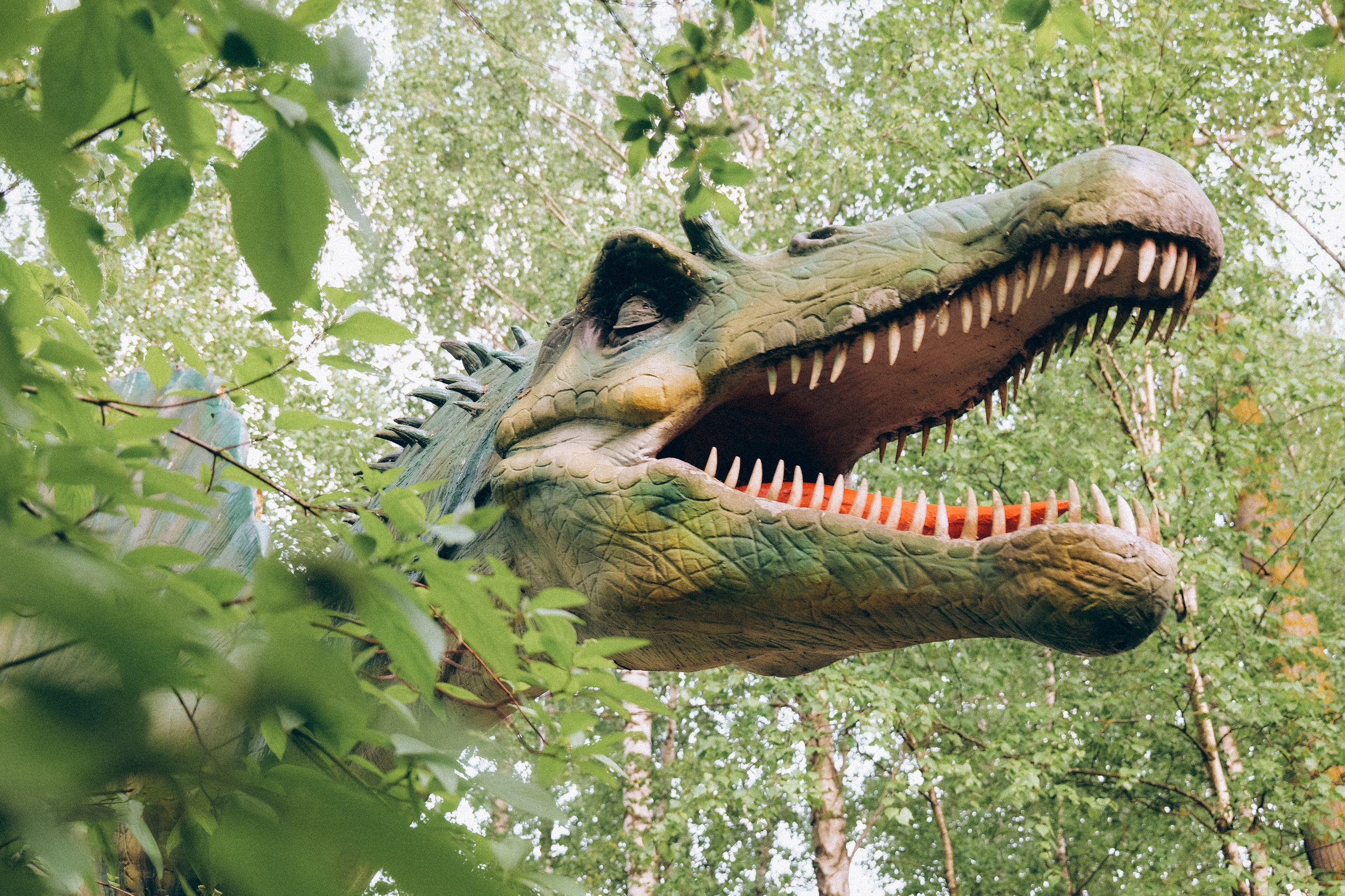 Семейная прогулка в Динопарке