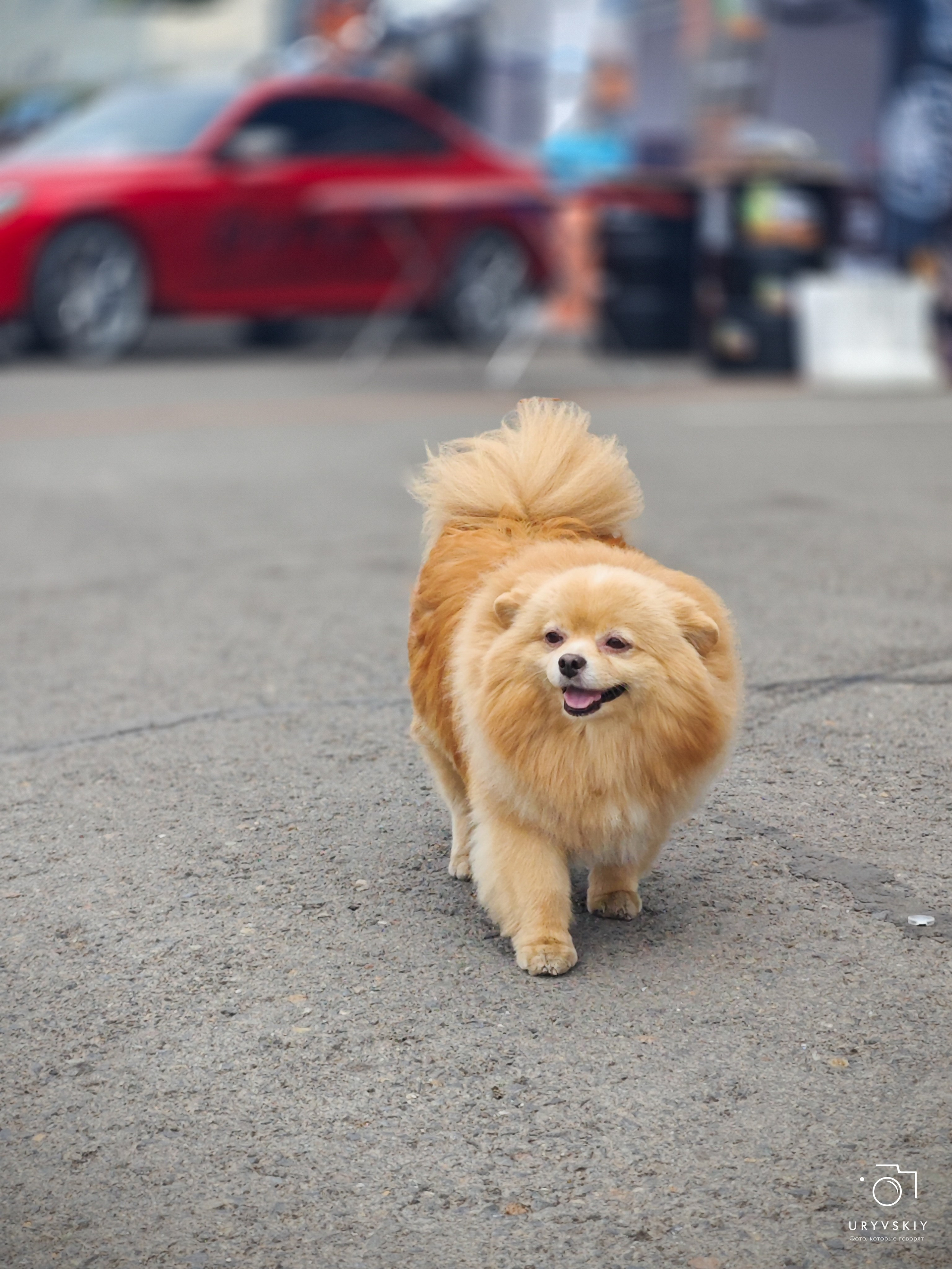 ISKRA 2025 Красноярск. Игорь Урывский. Фотограф Красноярск