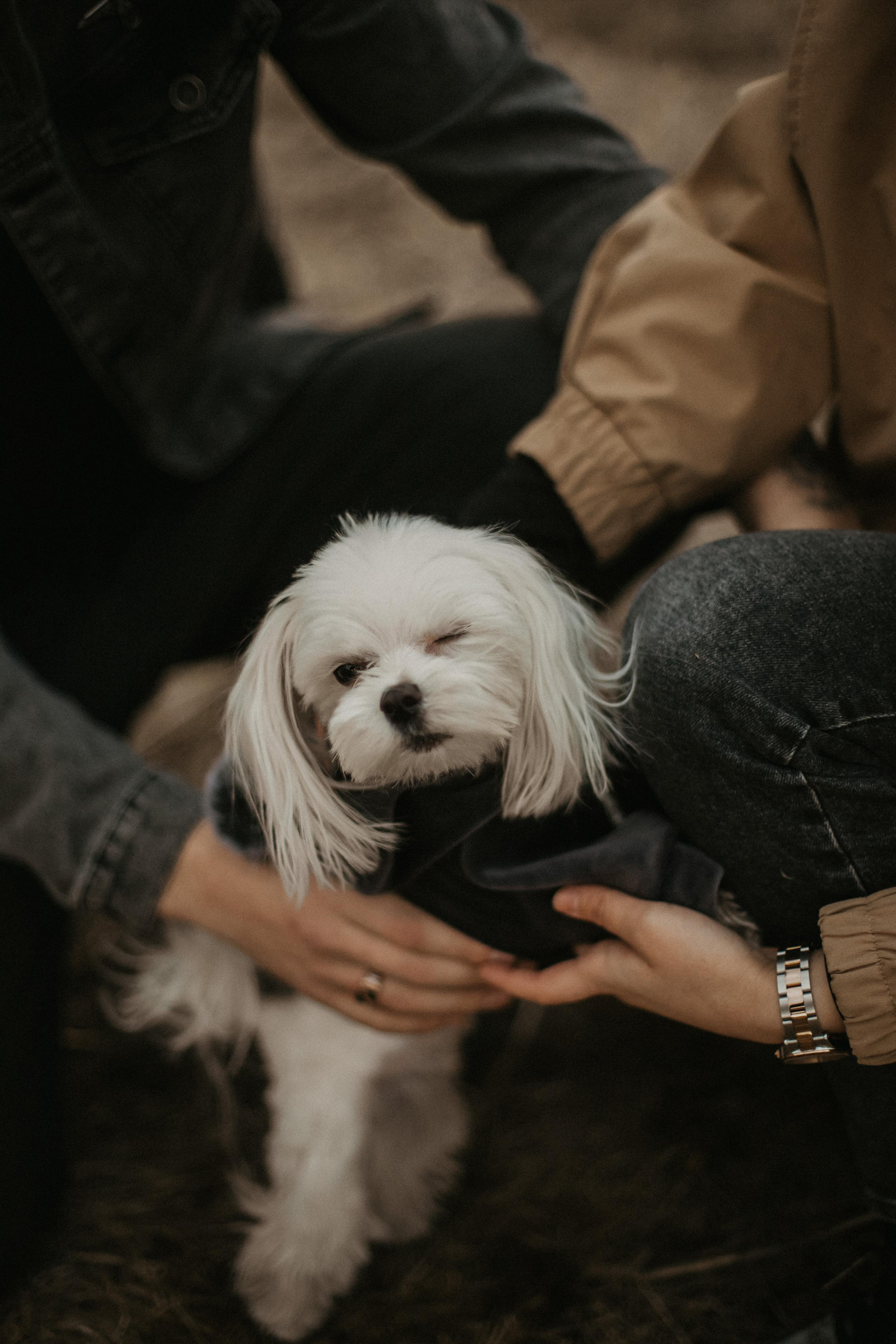 Диана&Игорь. Фотограф Карина Шарафутдинова