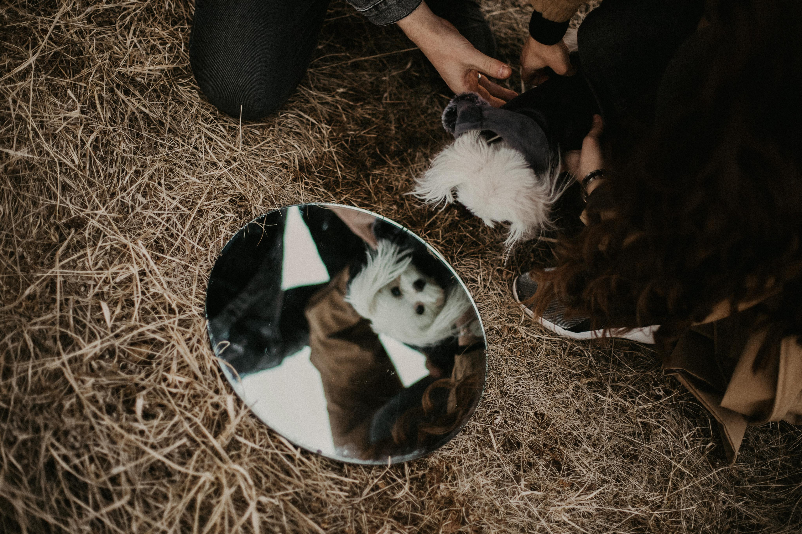 Диана&Игорь. Фотограф Карина Шарафутдинова