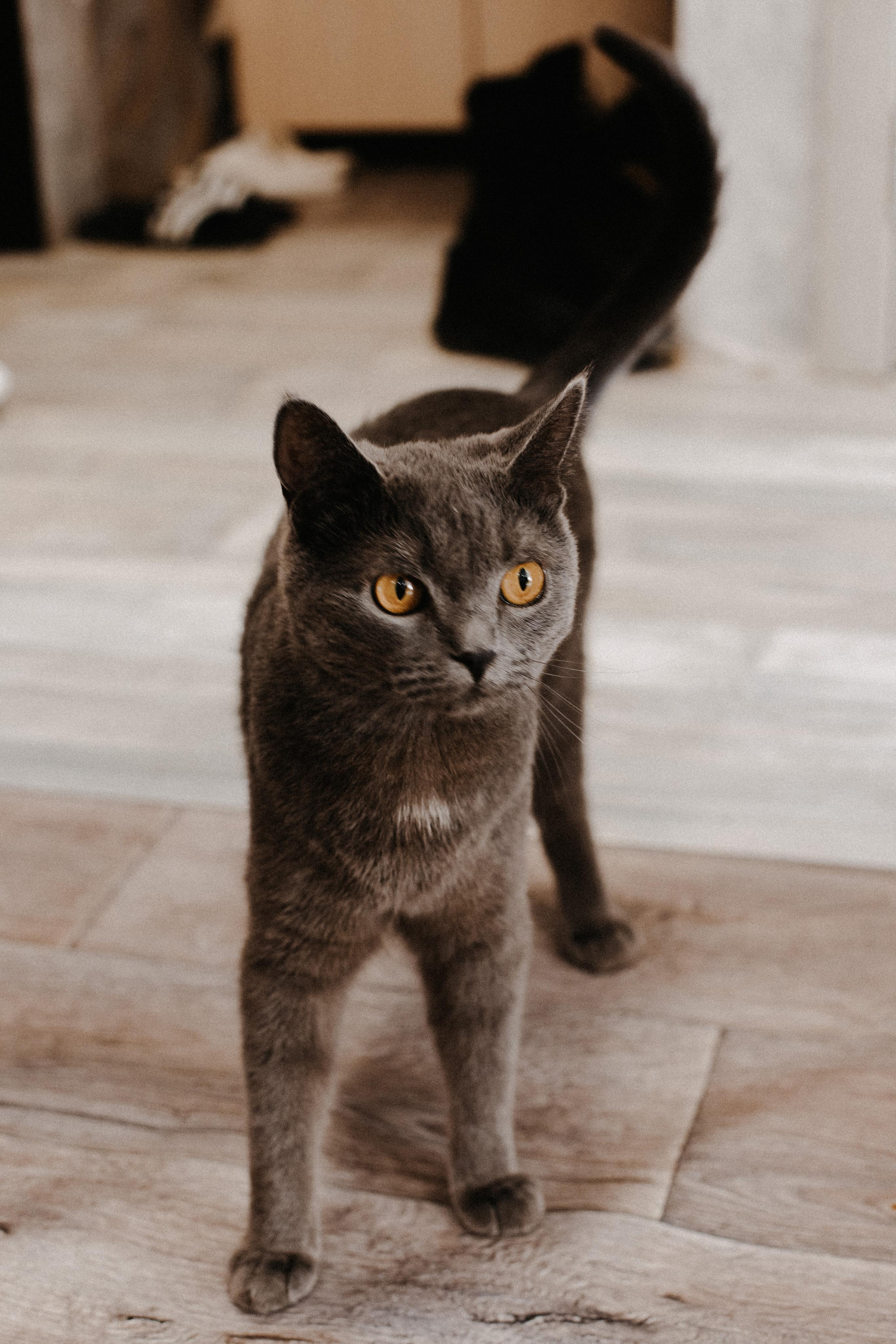 Домашнее утро. Фотограф Карина Шарафутдинова