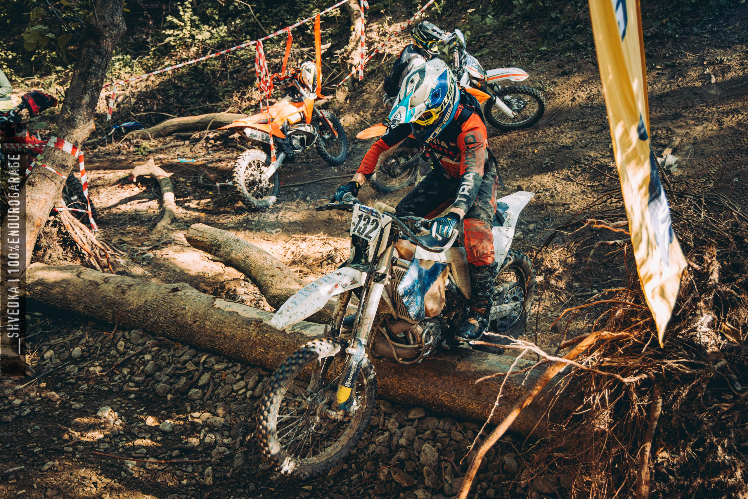 2 лесной день. Ваш экстрим фотограф Кудрева Яна