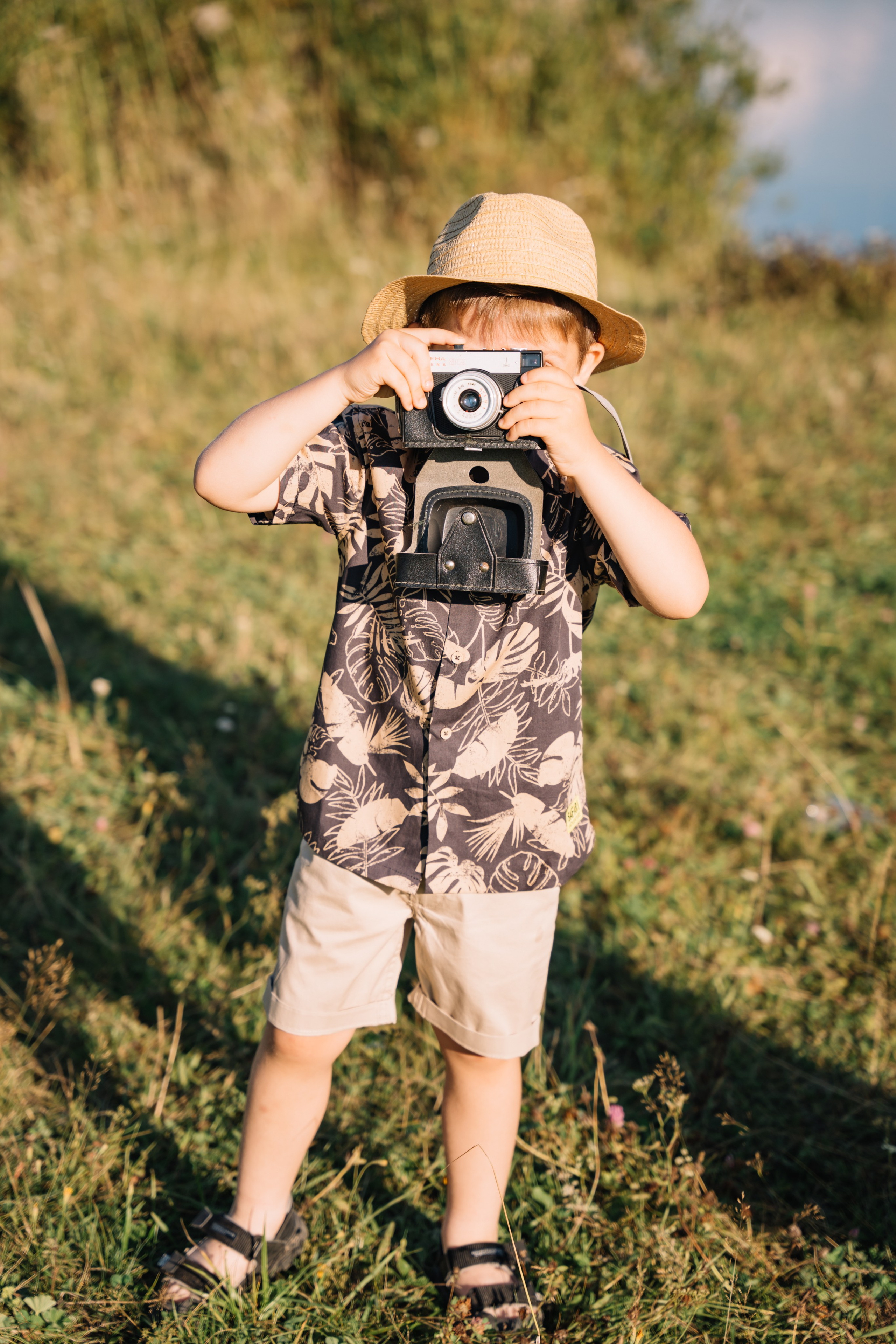 Гуси лебеди