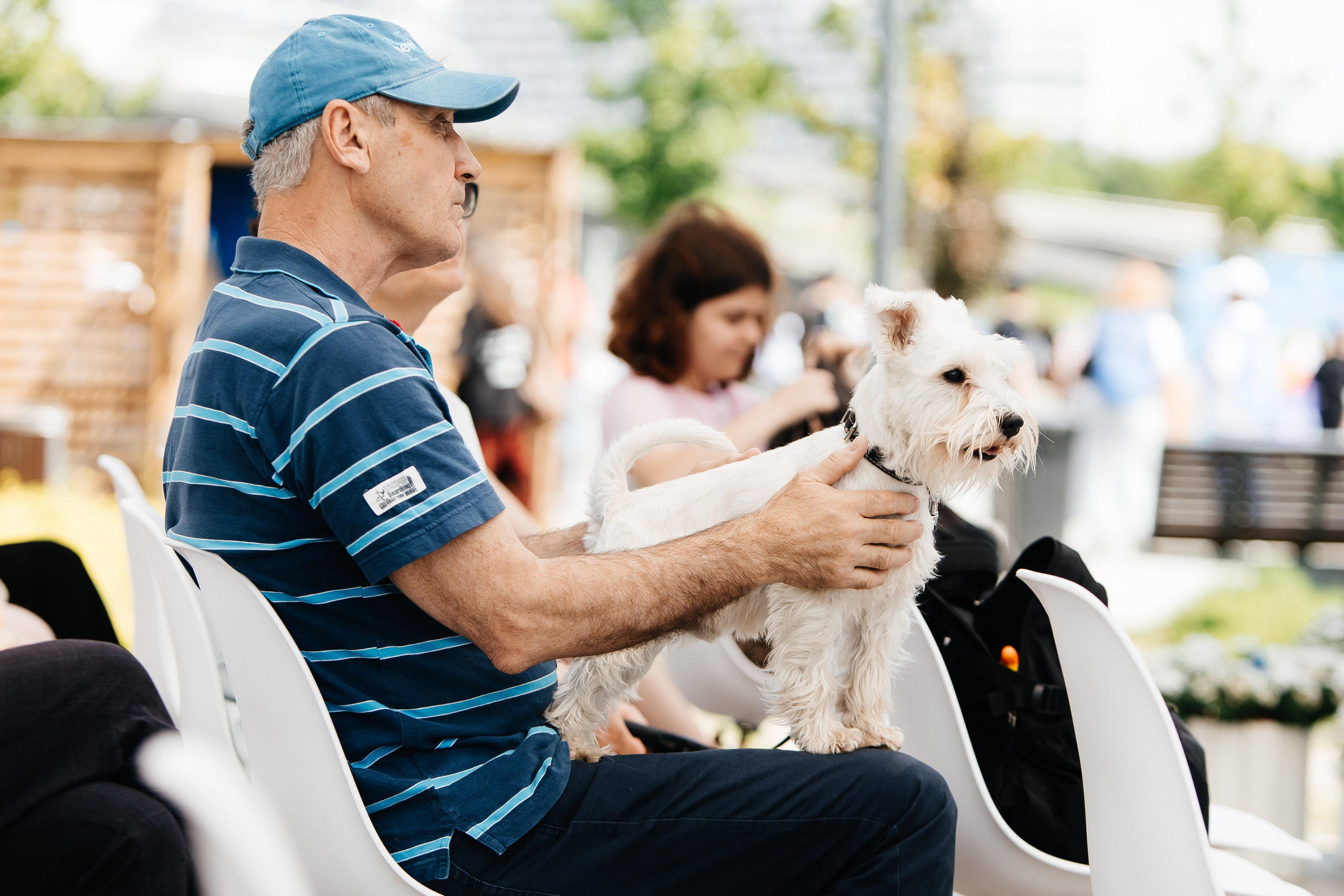 ФЕСТИВАЛЬ VK «ЛАПКИ» | 2025, МОСКВА. Five Media — репортажный фотограф Москва | Мск