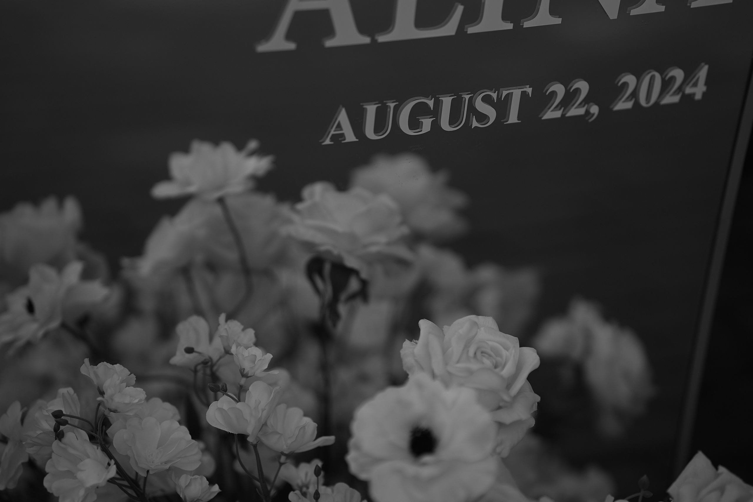 Алина и Денис. Свадебный фотограф Минск РБ