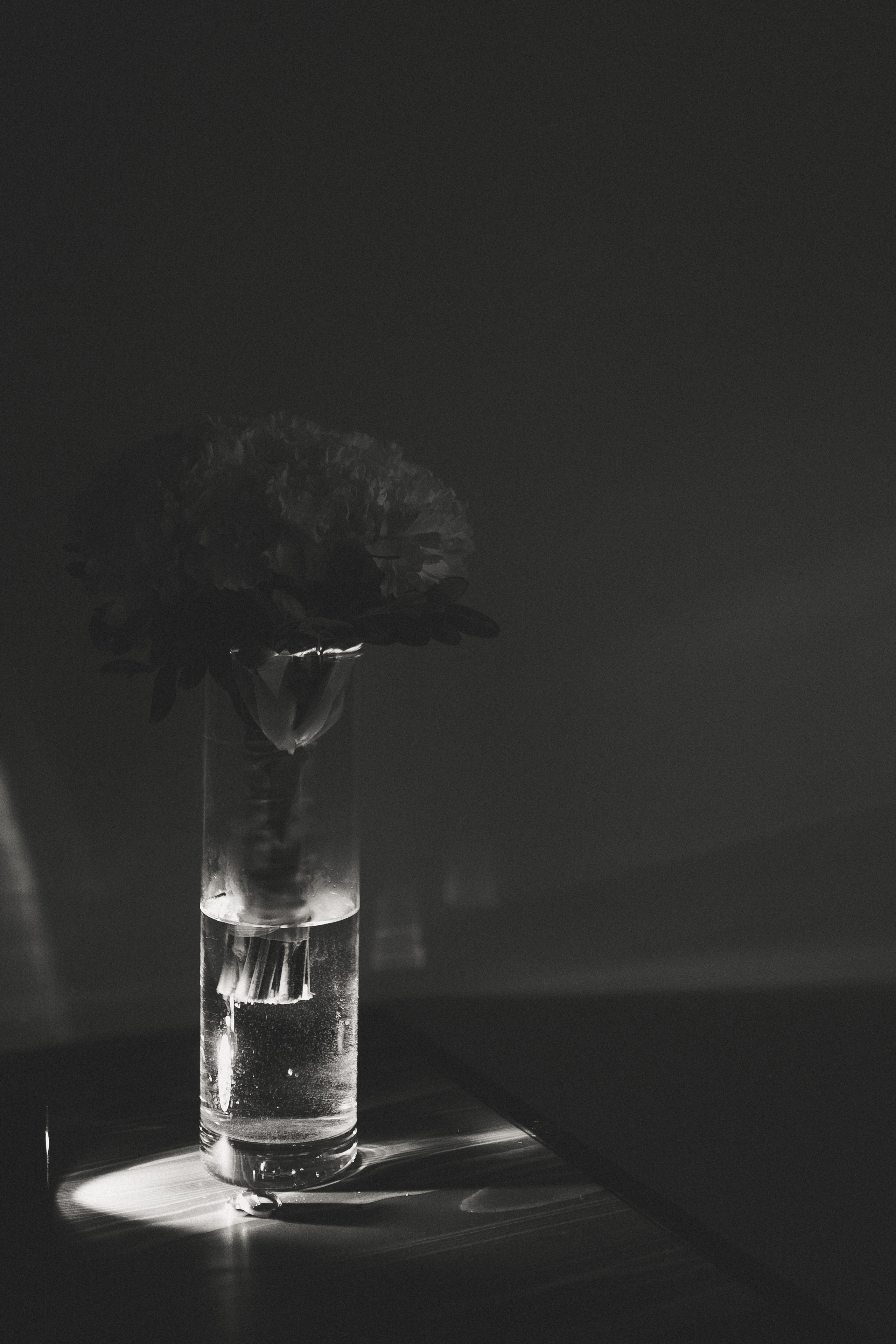 Данир и Гузалия, 2024-08-23. Свадебный фотограф в Сибае Елена Самарина