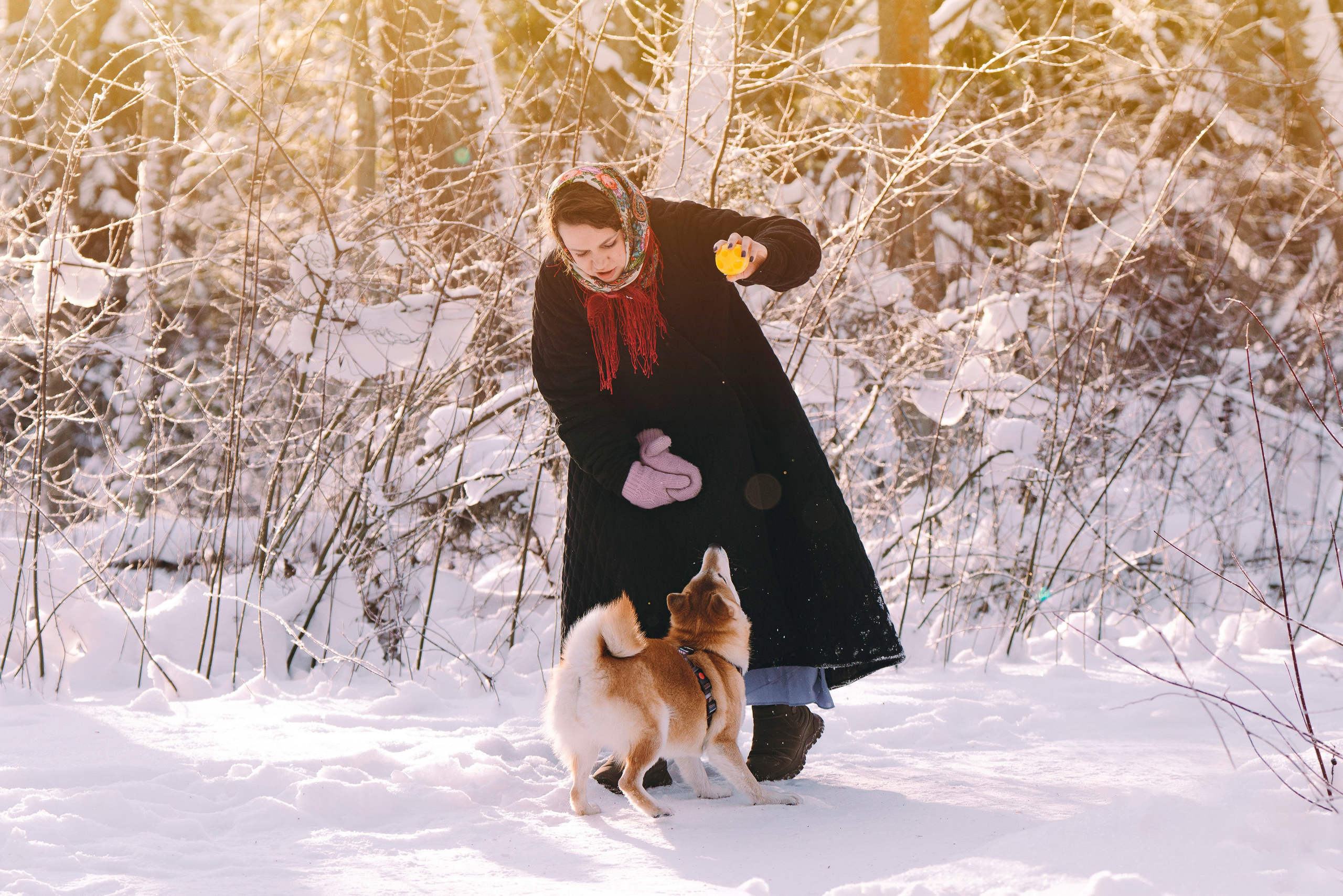 Каори, Анна и Антон. Фотограф анималист в Спб недорого Олеся Майорова