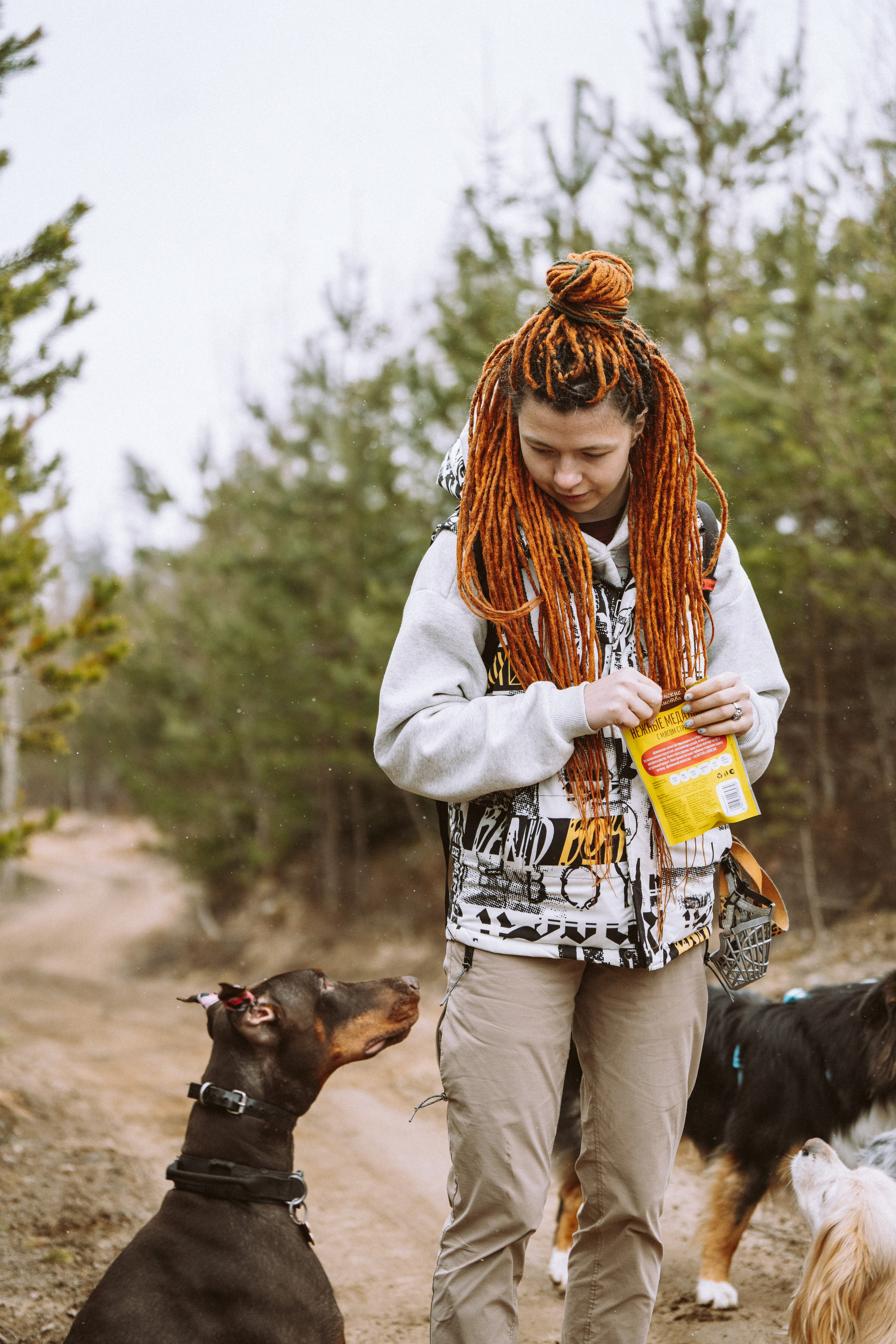 Дог трекинг к финскому хутору. Фотограф анималист в Спб недорого Олеся Майорова