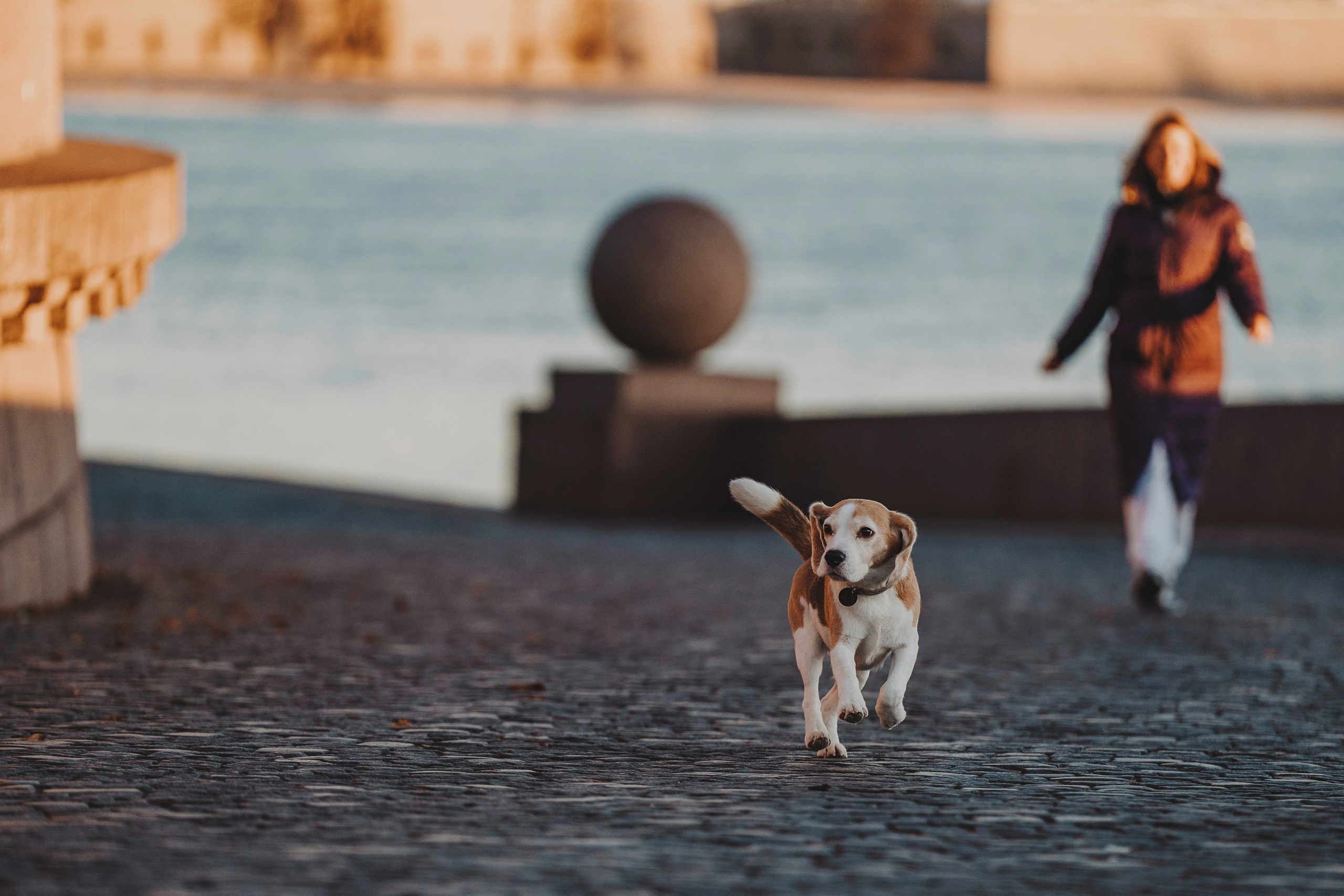 Ксения и Гаечка. Фотограф анималист в Спб недорого Олеся Майорова