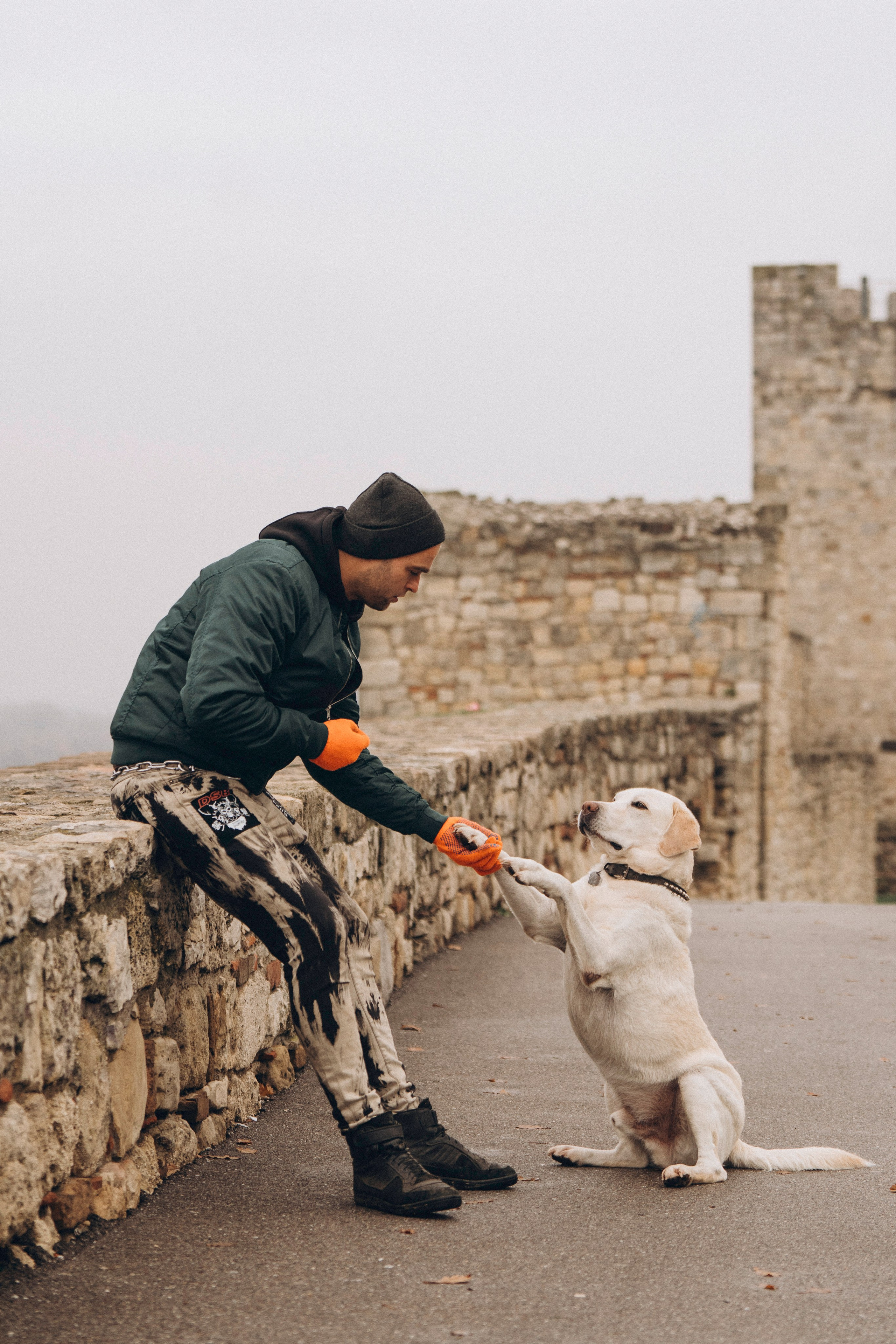 Вати, Лена и Леван. Фотограф анималист в Спб недорого Олеся Майорова