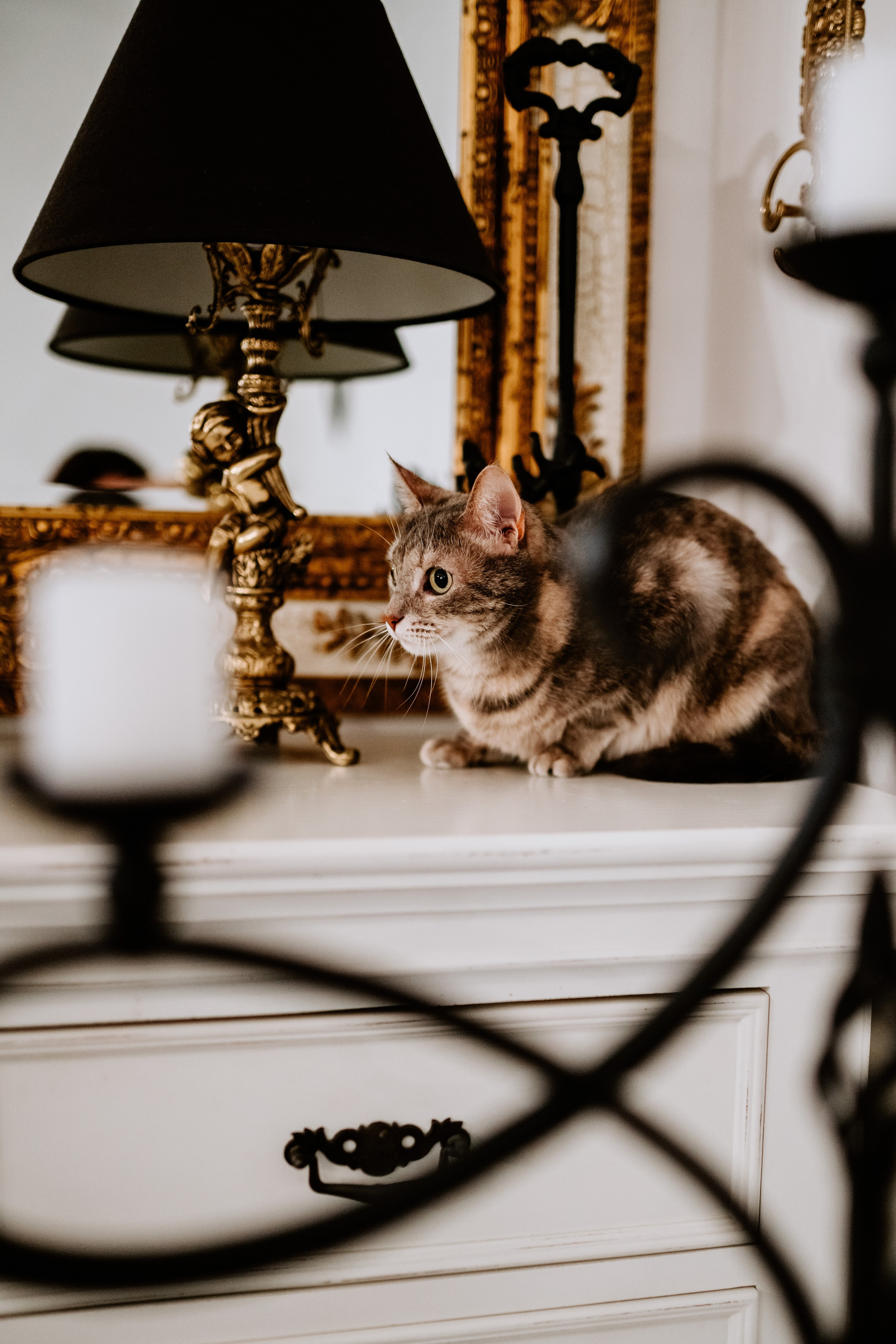 Натали и Иззи. Фотограф анималист в Спб недорого Олеся Майорова