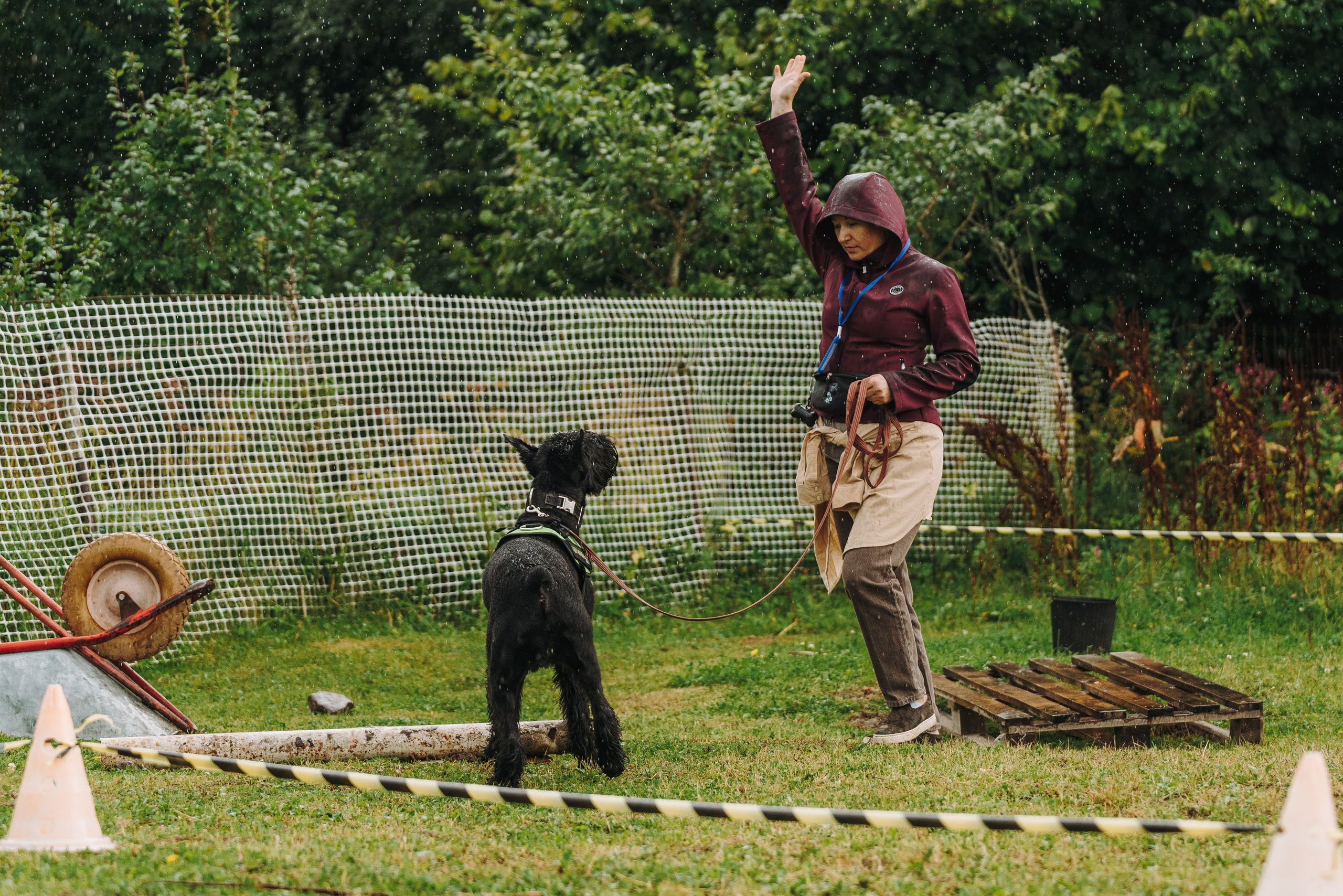 Соревнования по ноузворку в Новожилово. Фотограф анималист в Спб недорого Олеся Майорова