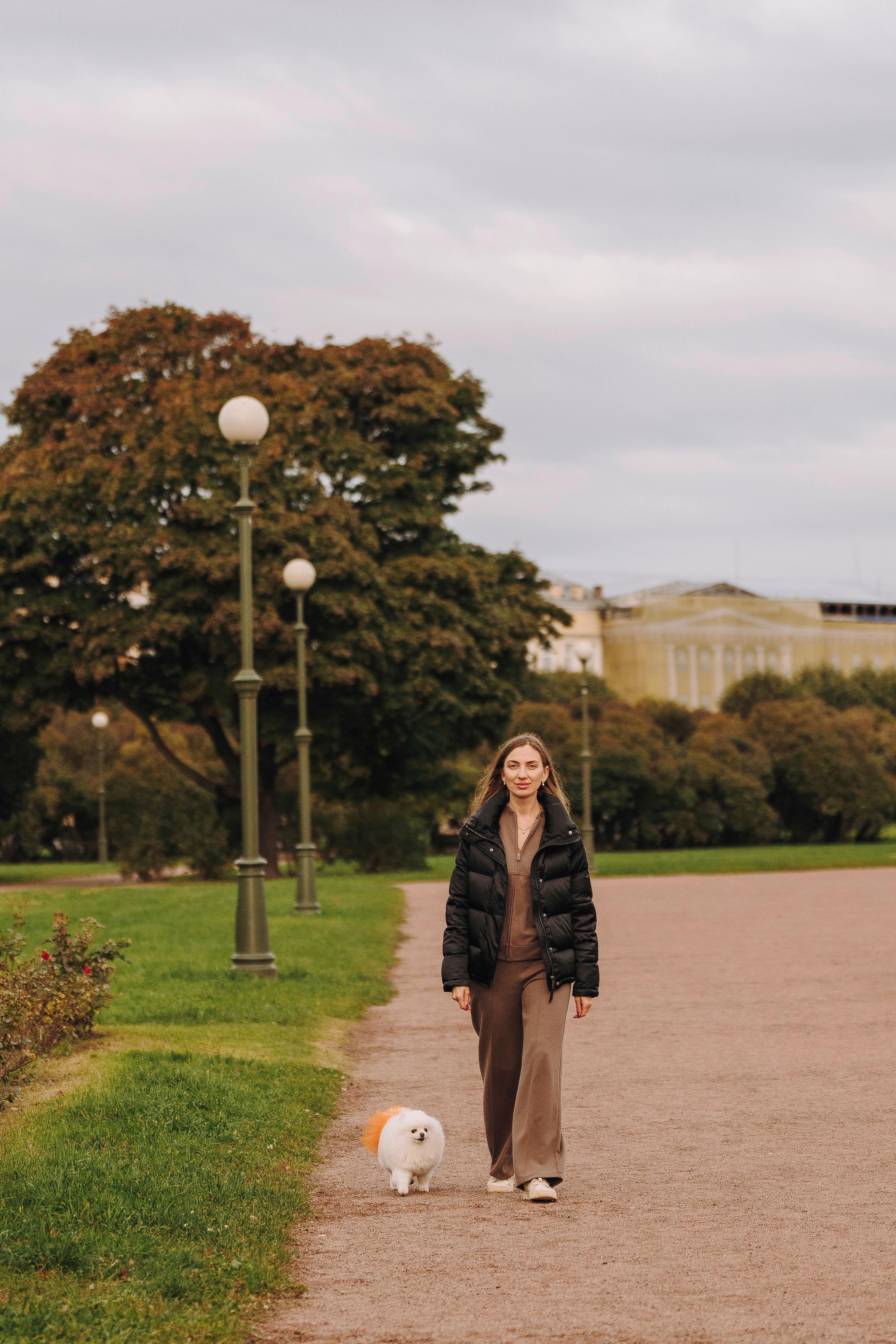 Фотосессия с померанским шпицем. Фотограф анималист в Спб недорого Олеся Майорова