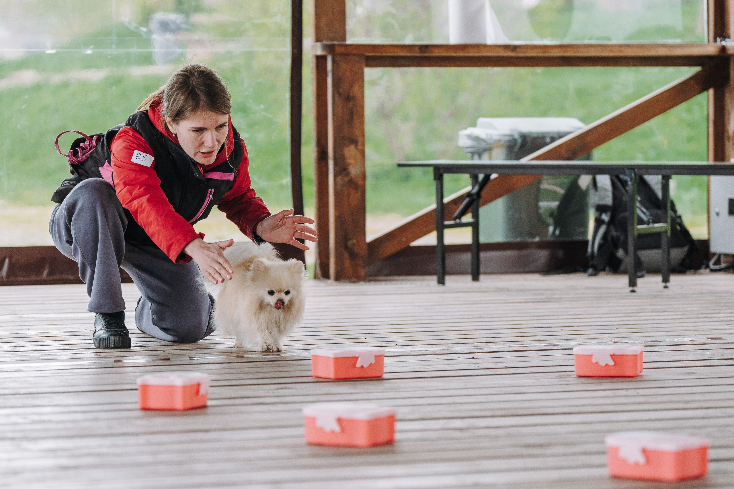 Соревнования по ноузворку в Лосево. Фотограф анималист в Спб недорого Олеся Майорова
