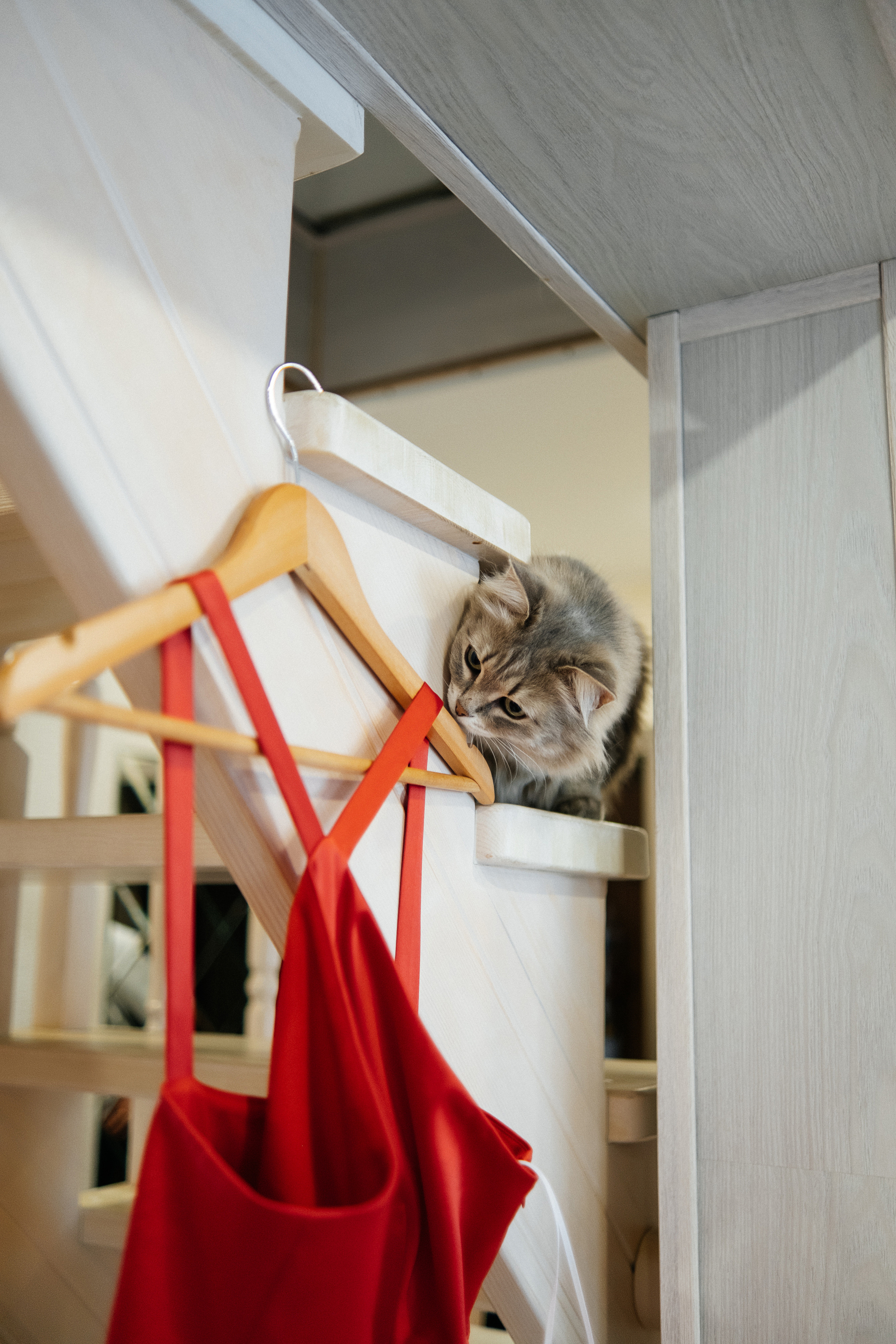 Катя_Алексей_17_06_2023. Свадебный и семейный фотограф Барнаул Рубцовск Бийск Алтайский край