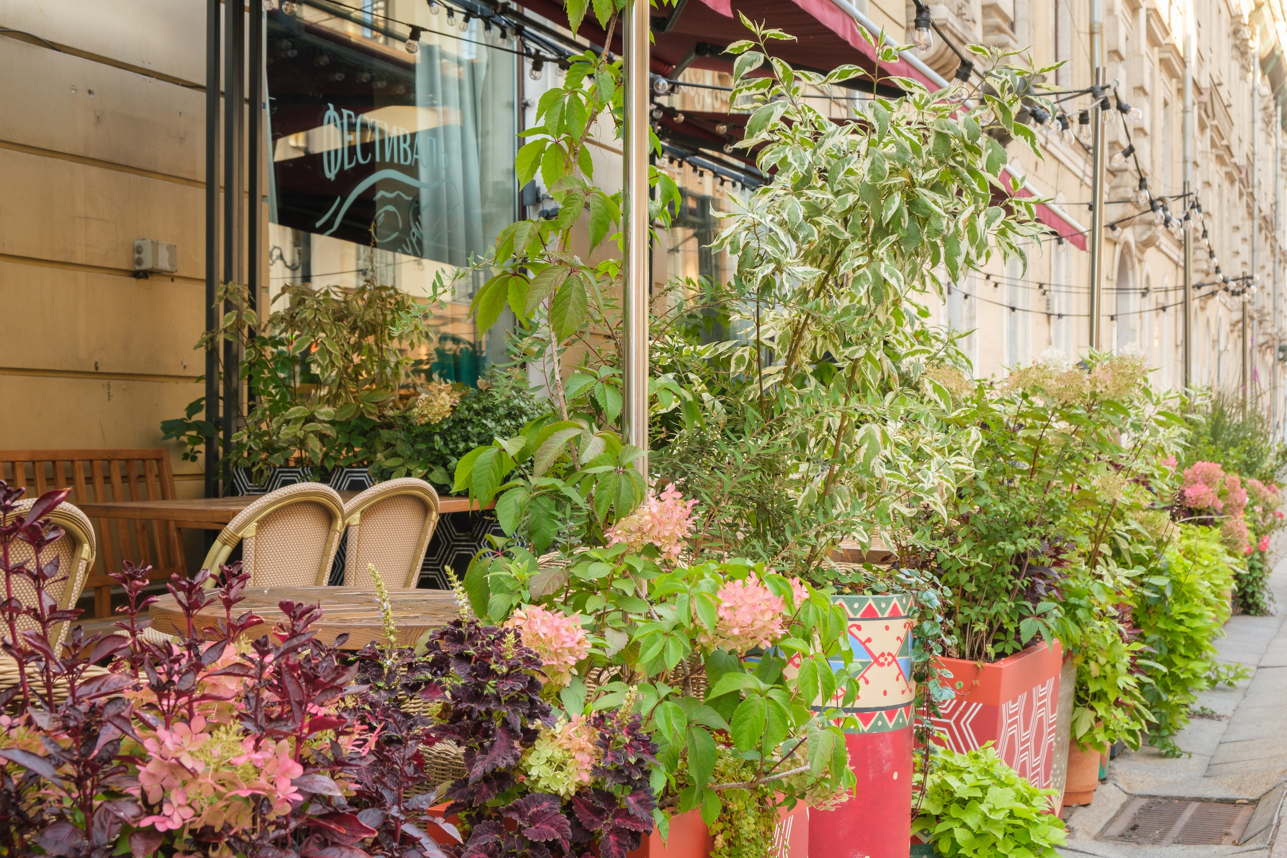 Озеленение