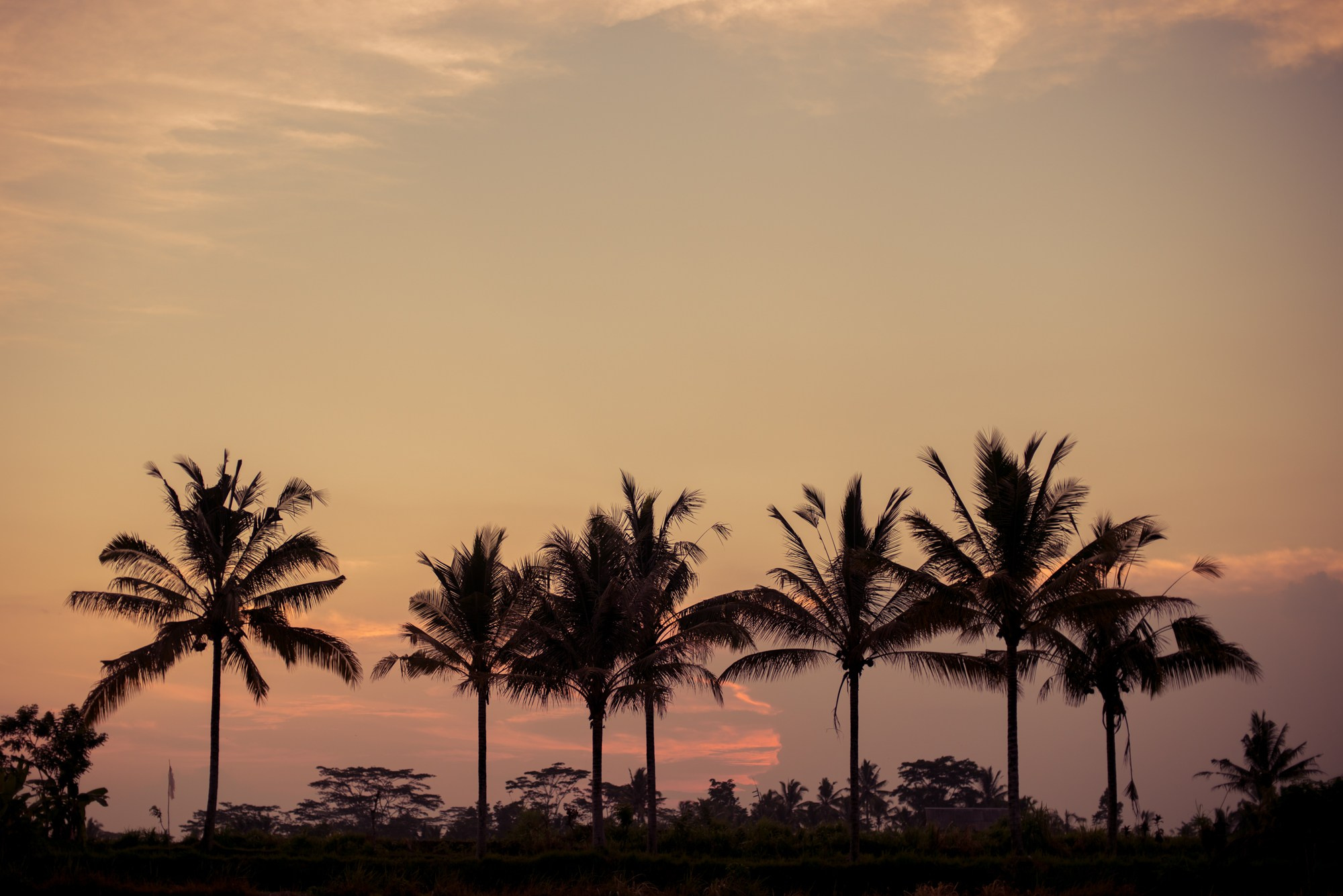 Bali. Indonesia. Photographer in Tokyo Anatolii Ozarto