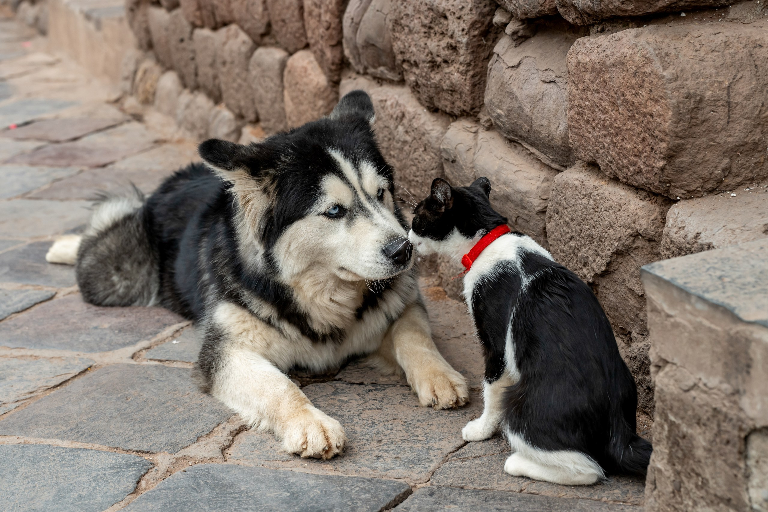 Перу. Foto-Zuev фотография как искусство