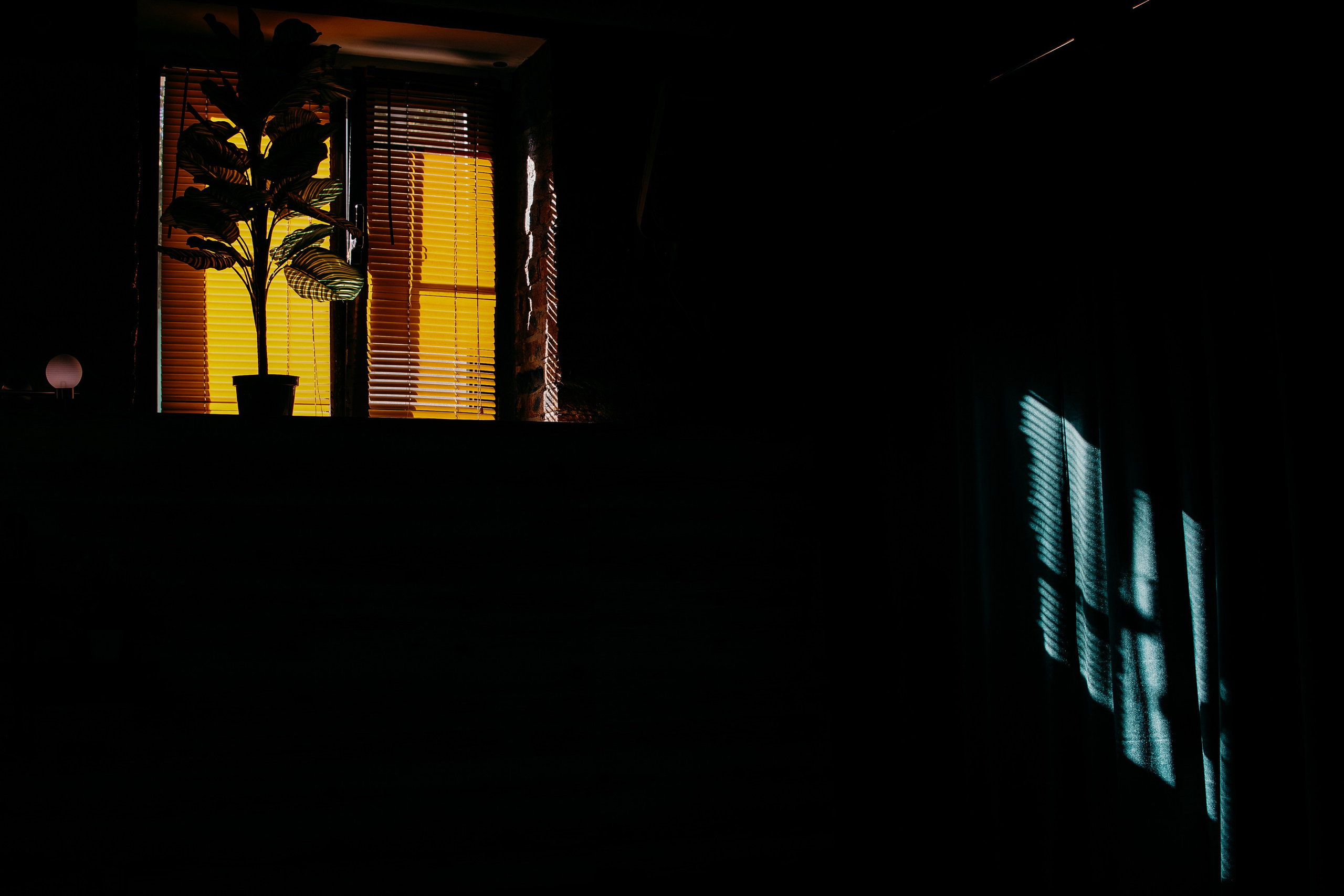 Untitled. Свадебный и Event фотограф в Москве | Андрей Губренко | Gubrenko