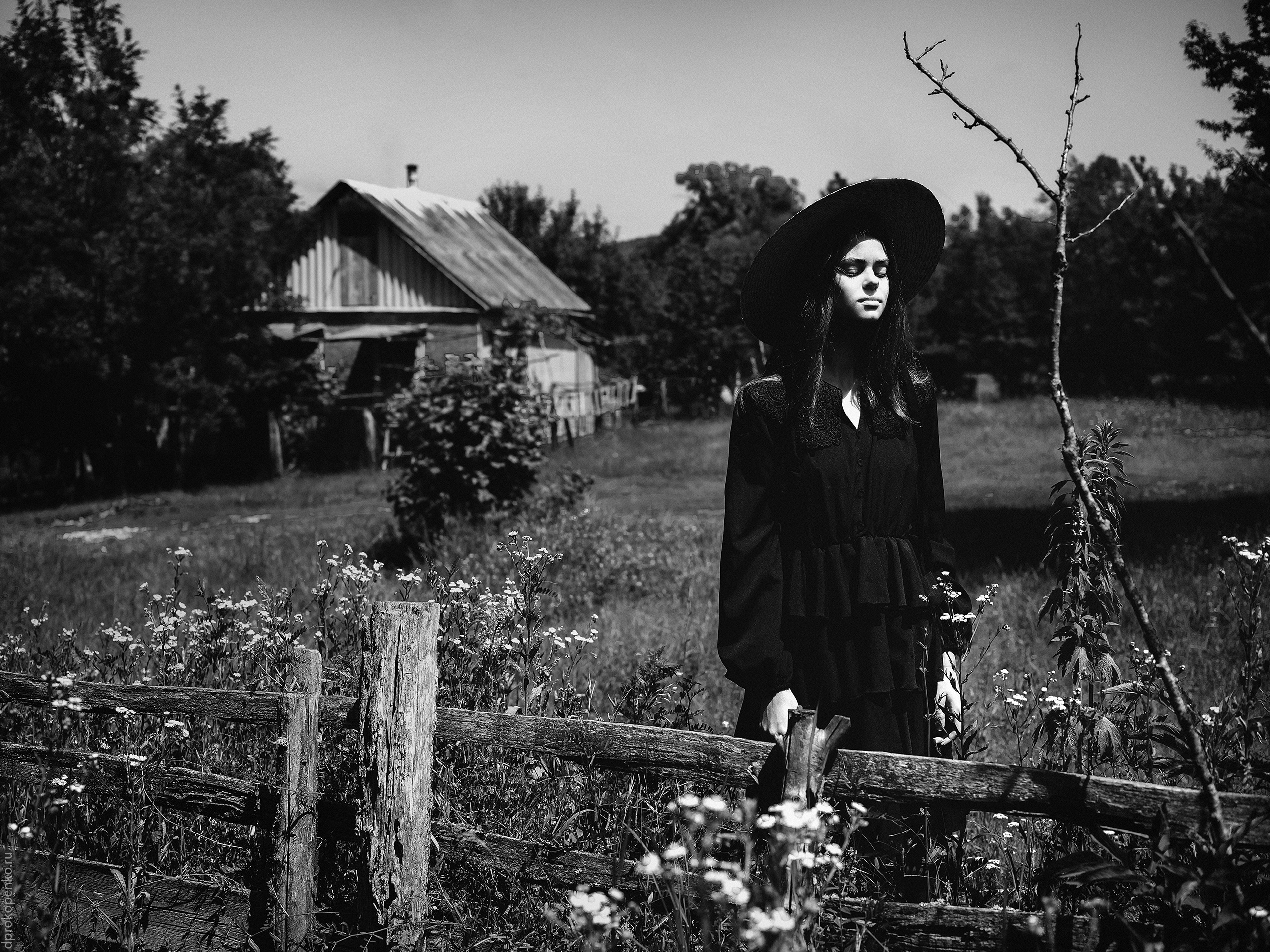 Art portfolio. Photographer in Nha Trang — Dani Prokopenko