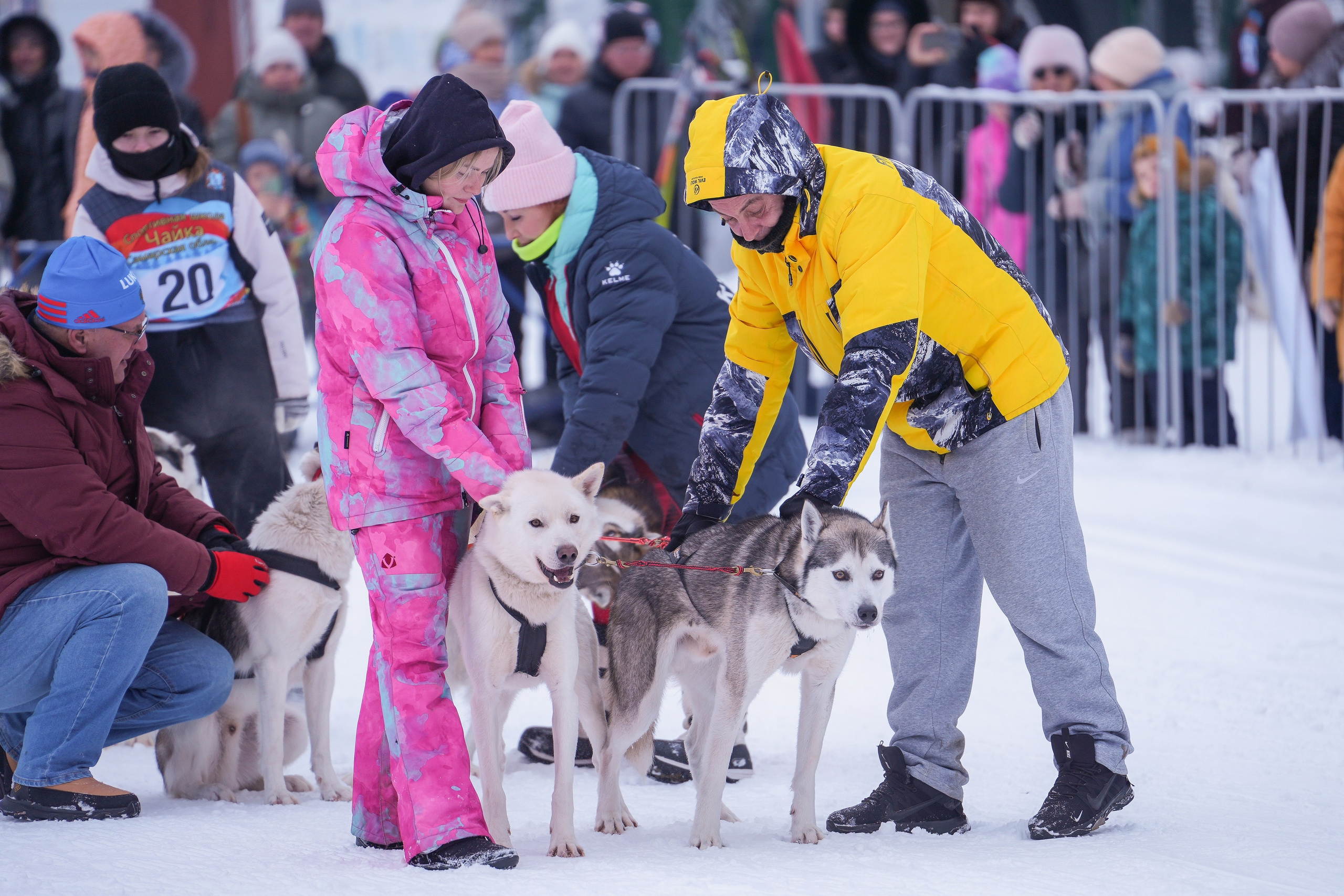 Рождественские гонки на собаках. Т/б «Чайка». Семейный фотограф Владимир Просвиркин. г. Самара