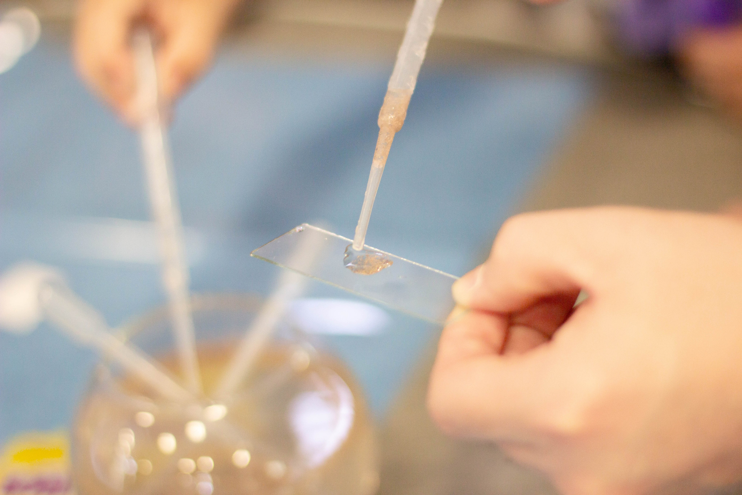 Форум родные-любимые 2024. Фотограф мероприятий и спорта: юбилеев, дней рождений и корпоративов из Москвы