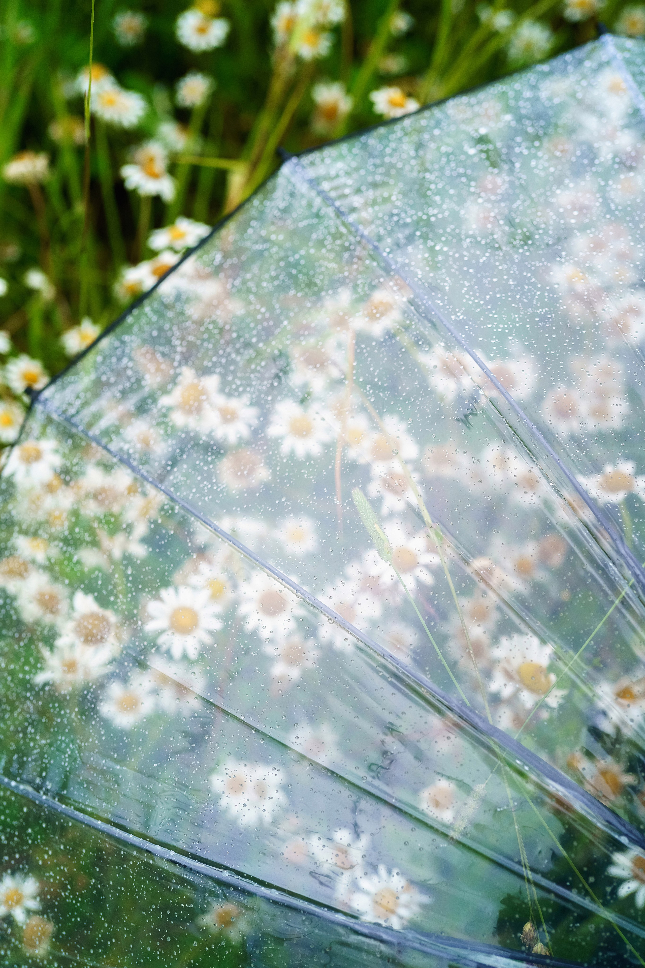 . Фотограф в Москве и Одинцово