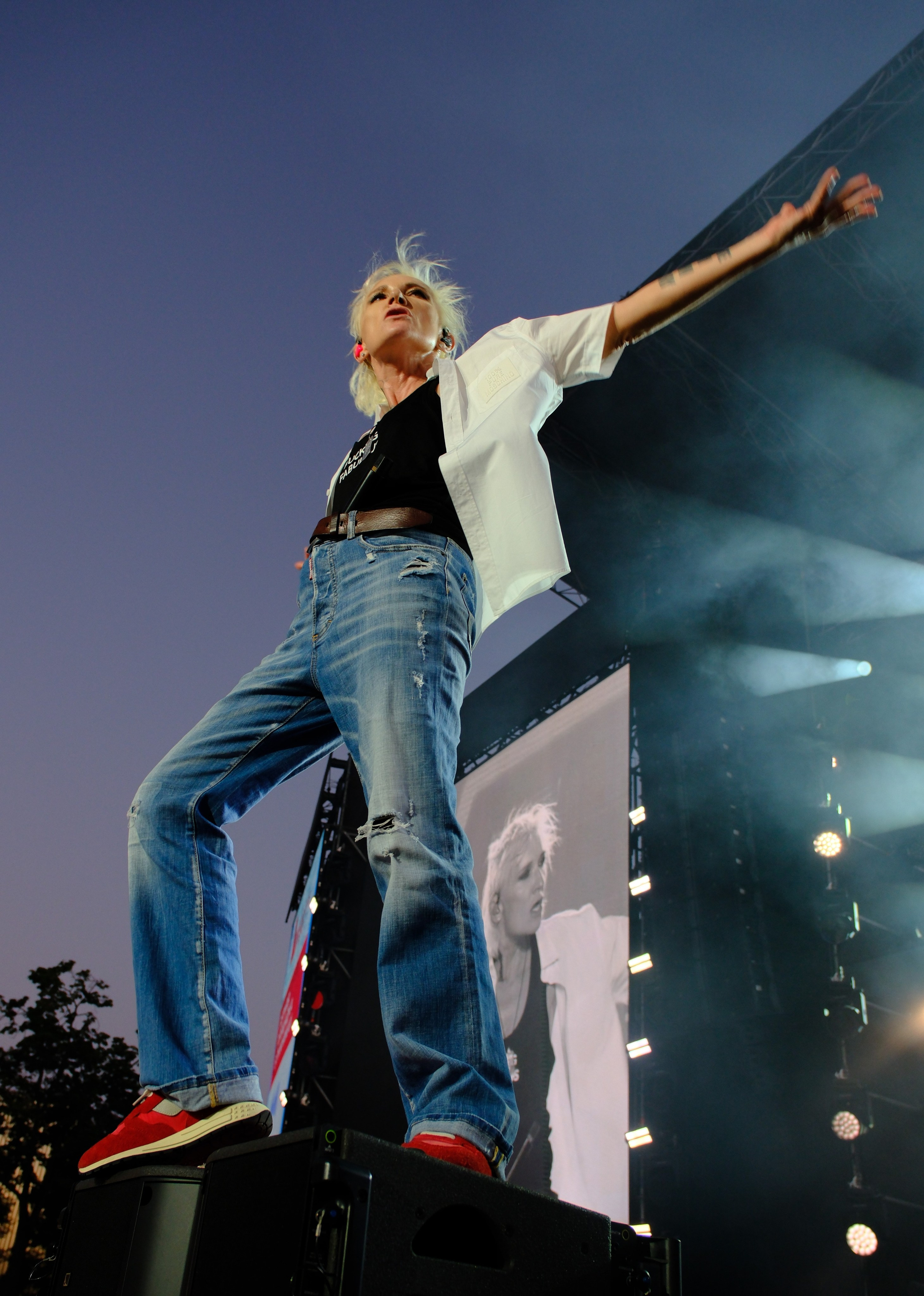 Диана Арбенина (группа «Ночные снайперы») — Москва, МТС Live Лето 2024. RedGeek - блогер и стручњак за образовање и ИТ Кирил Ситнов