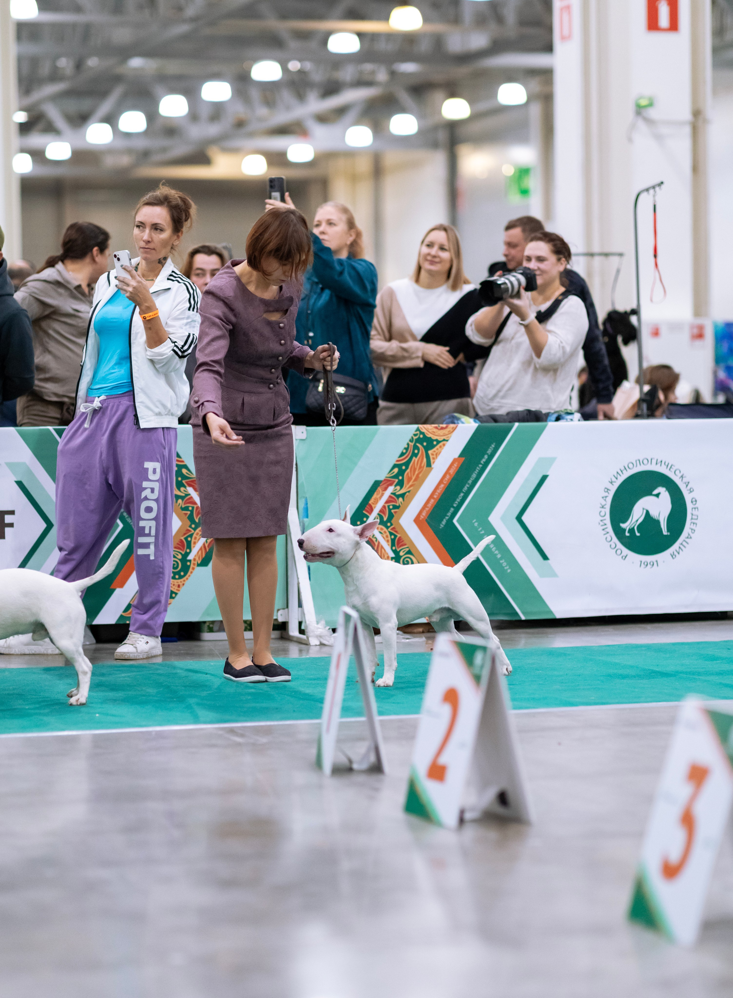 Евразия. Фотограф — анималист Татьяна Ли