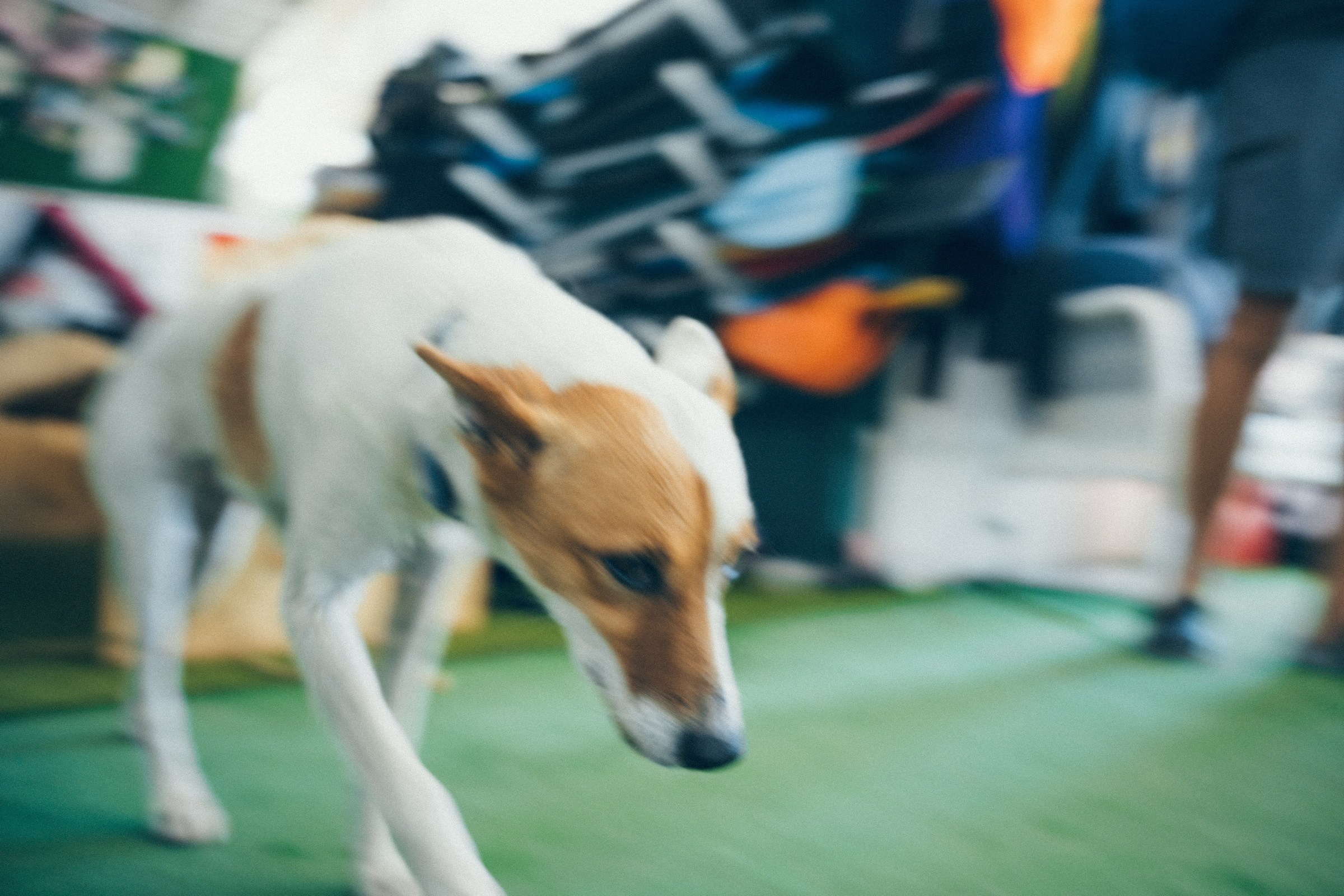 О проекте или как я провела лето. Портретный фотограф В Крыму и преподаватель Екатерина Покровская