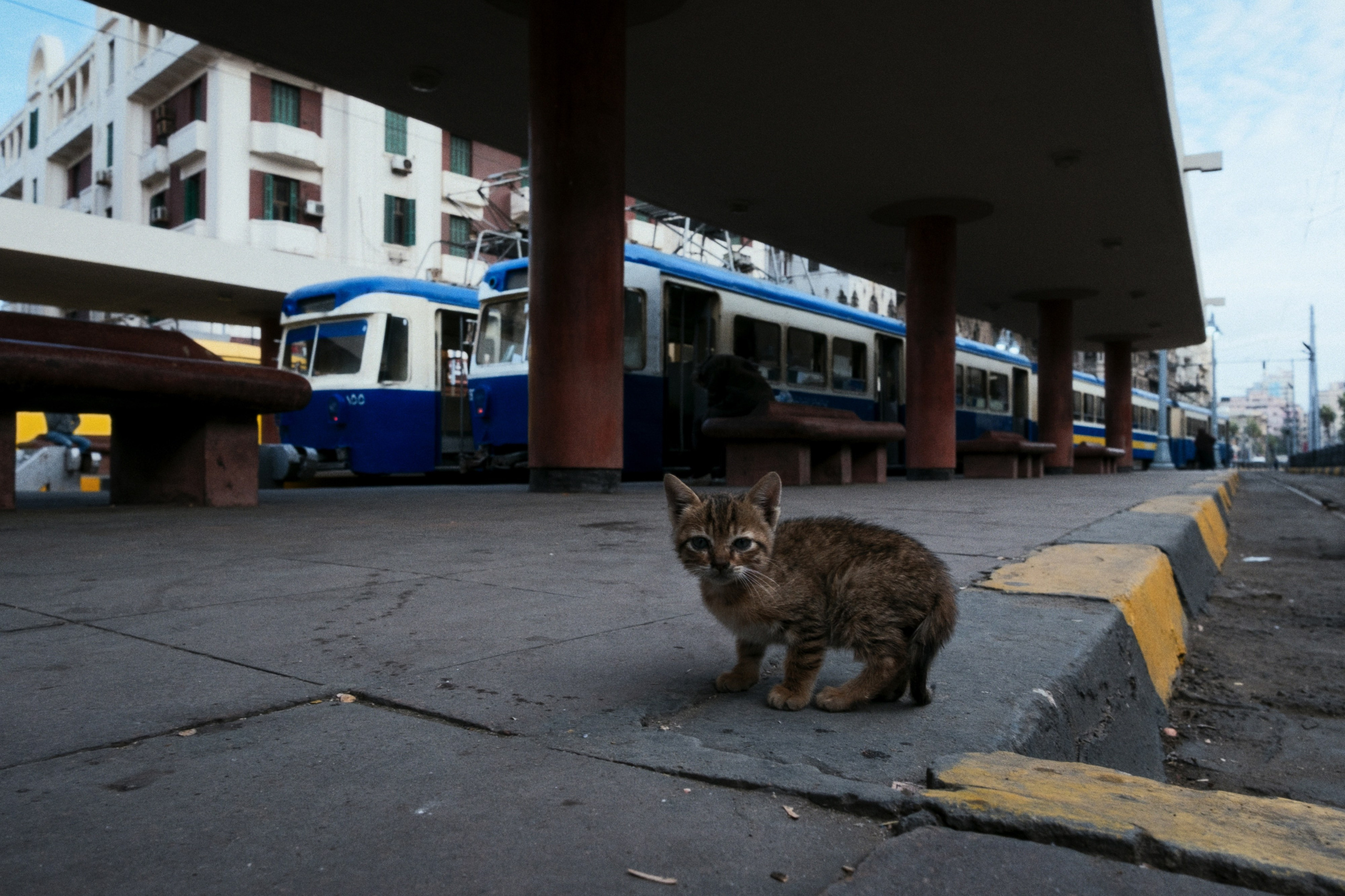 Alexandria / Egypt AW25. Фотограф Юрин Евгений