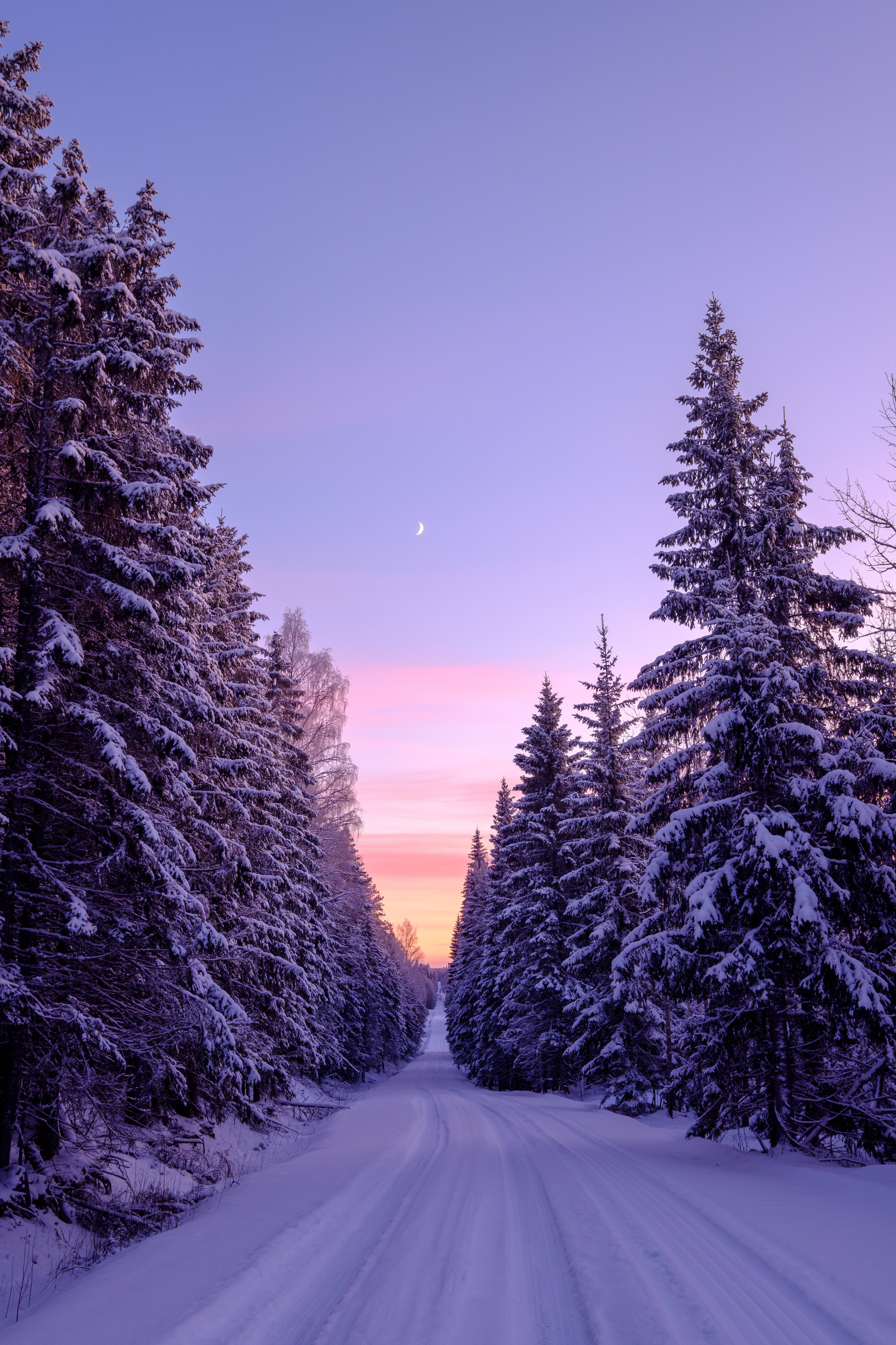 Пейзаж. Портретный фотограф Виктор Льерена