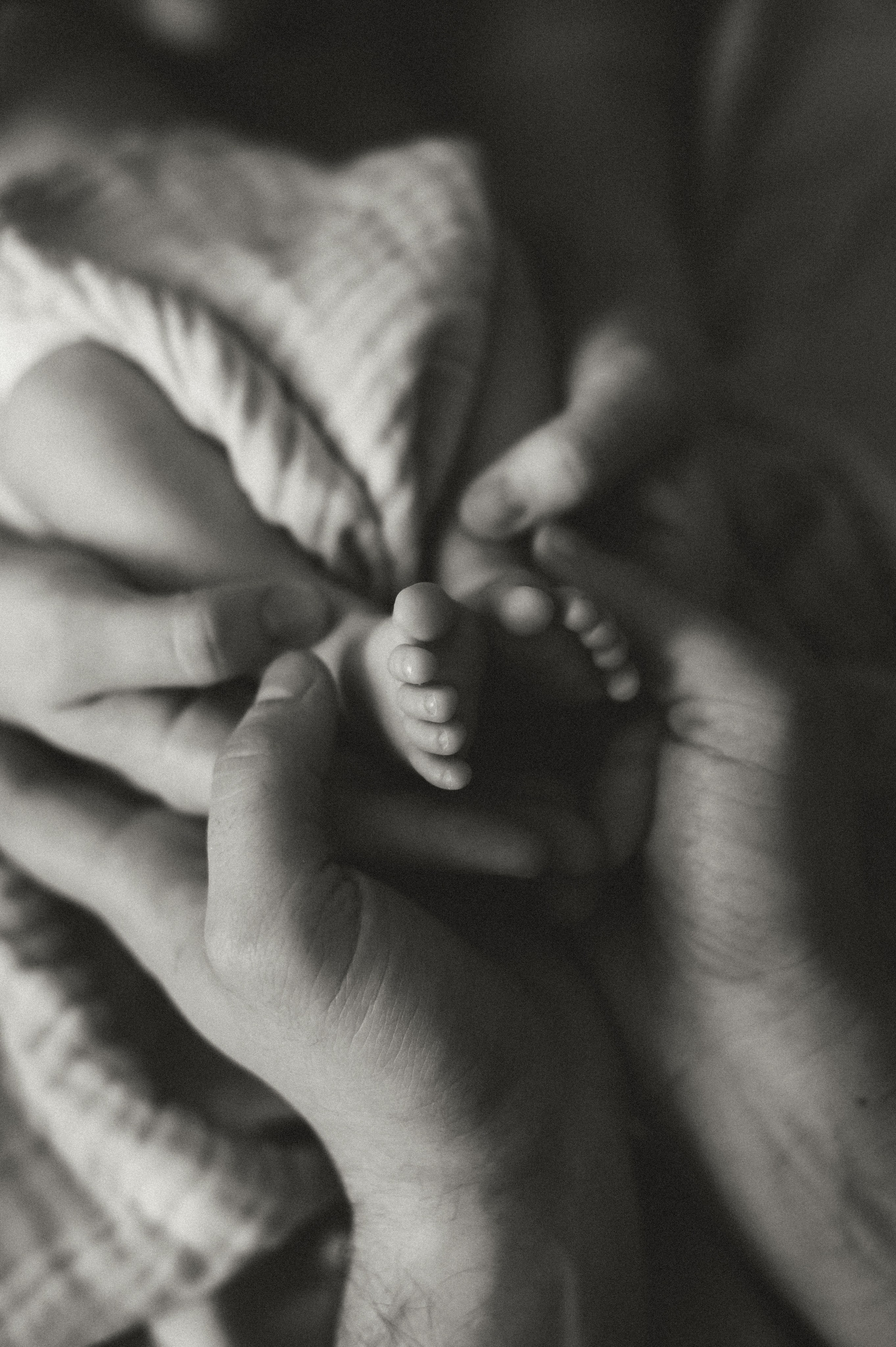 Первый месяц. Мама, папа и малыш. Семейный фотограф в г. Ставрополь, Сорокина Мария