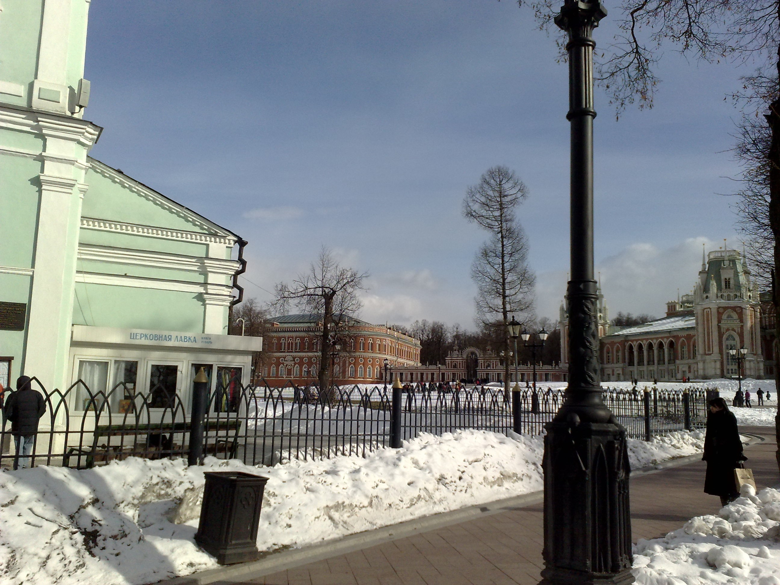 Царицино музей-усадьба. Питомник китайских хохлатых собак Poale Ell: купить щенка в питомнике