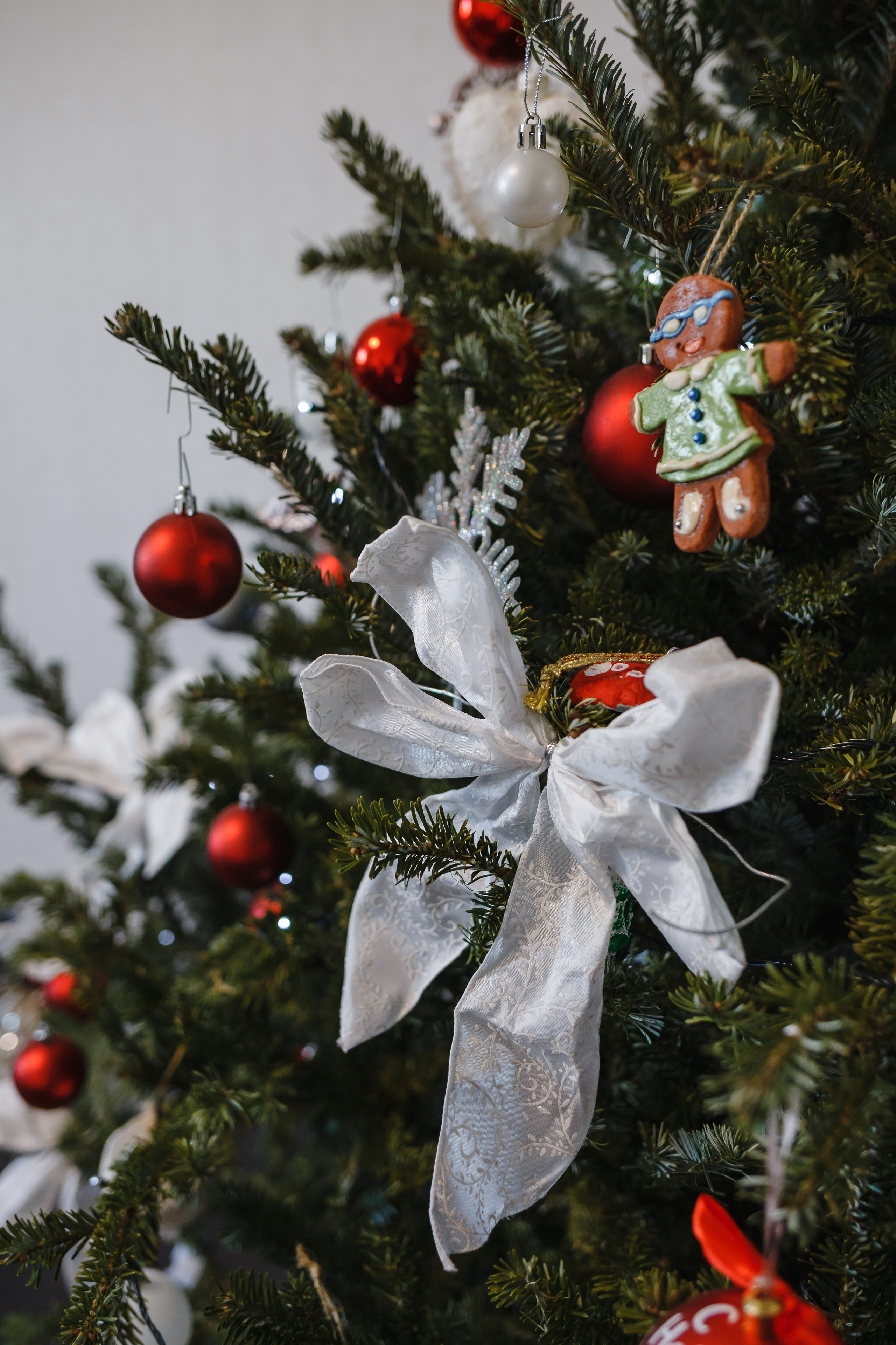 Карина и ее семья. Семейный фотограф Николаева Ольга