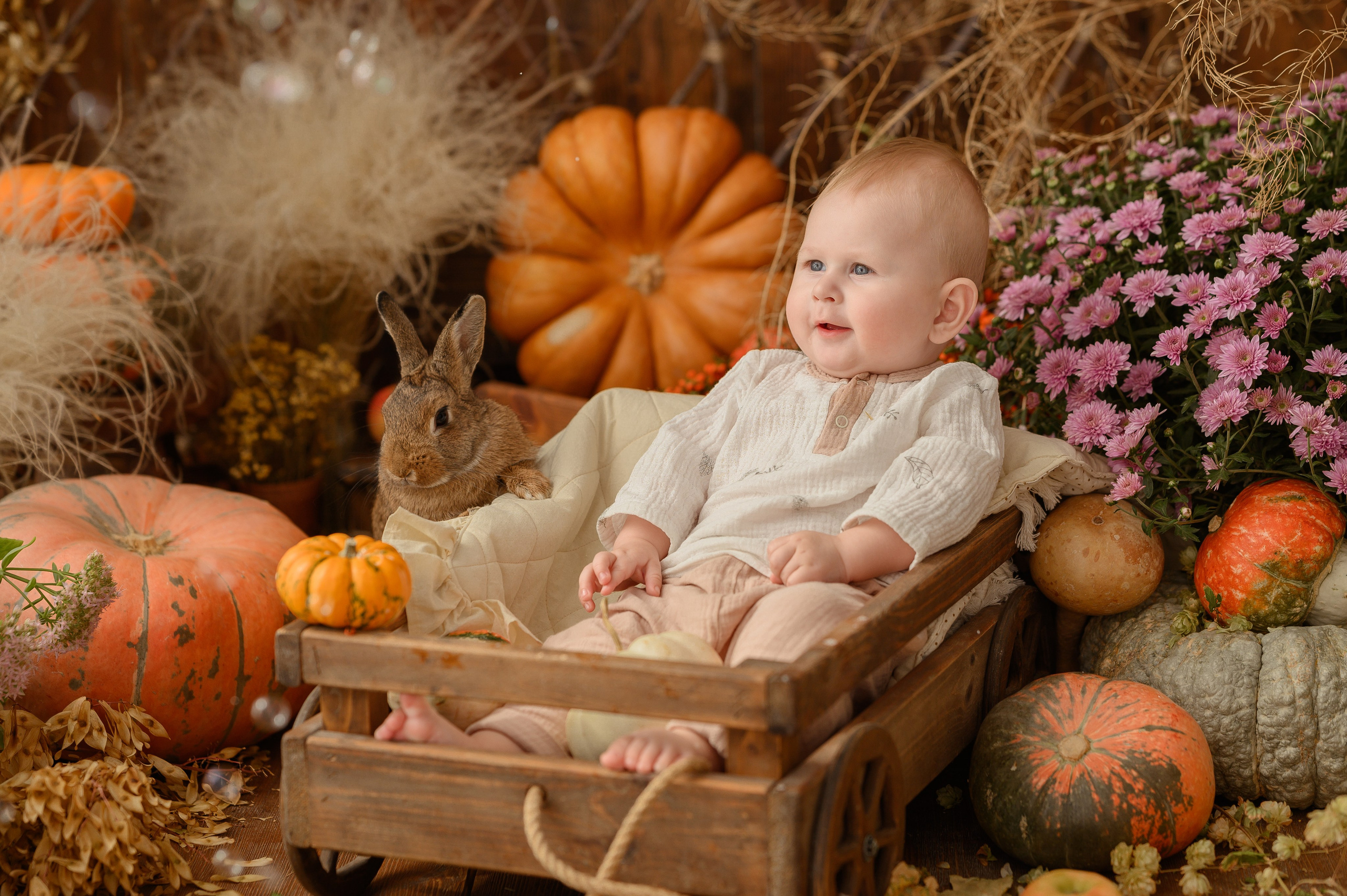 Дамирчик и кролик в тыквах. Детский и семейный фотограф Ирина Гладких