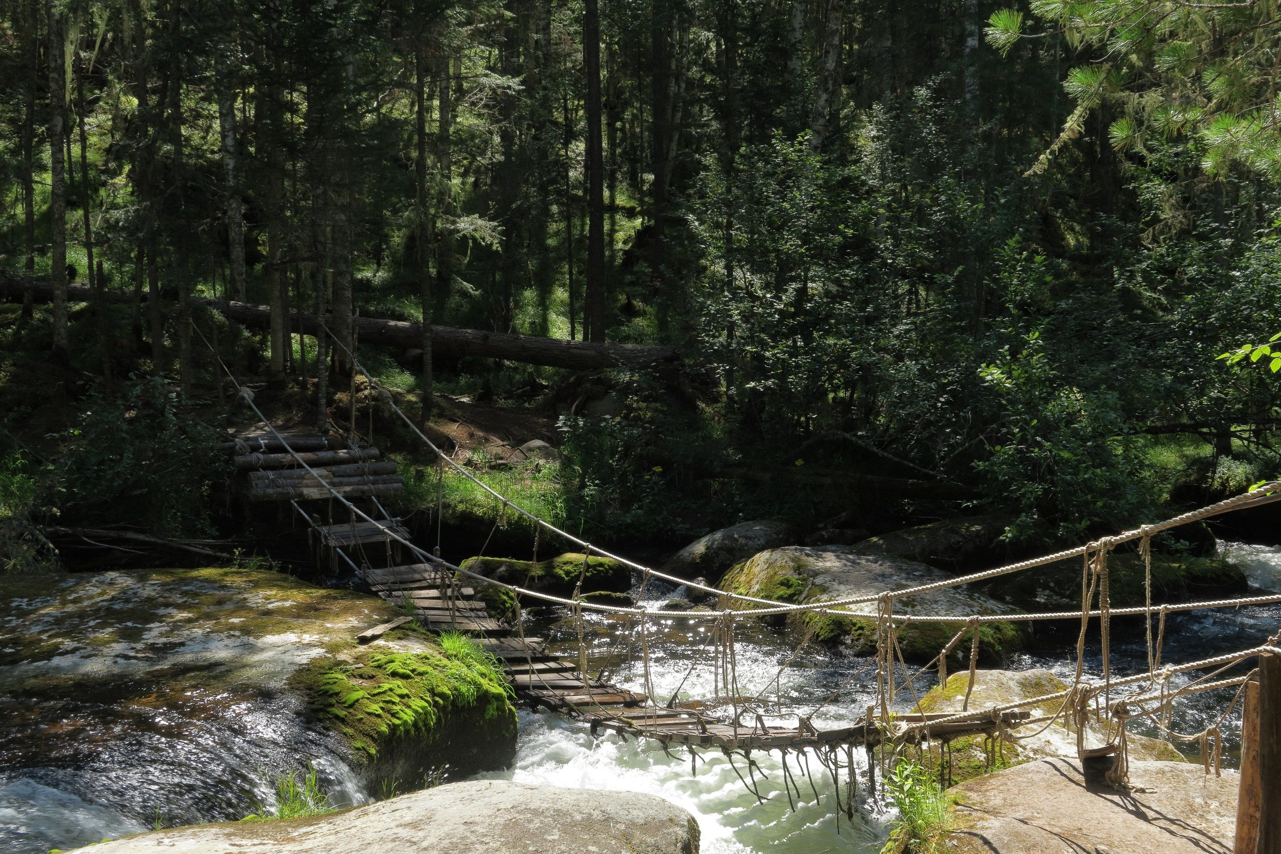 Кутурчинское белогорье, Манские столбы, гора Баян, гора Алат, река Мана. Фото на документы в Красноярске