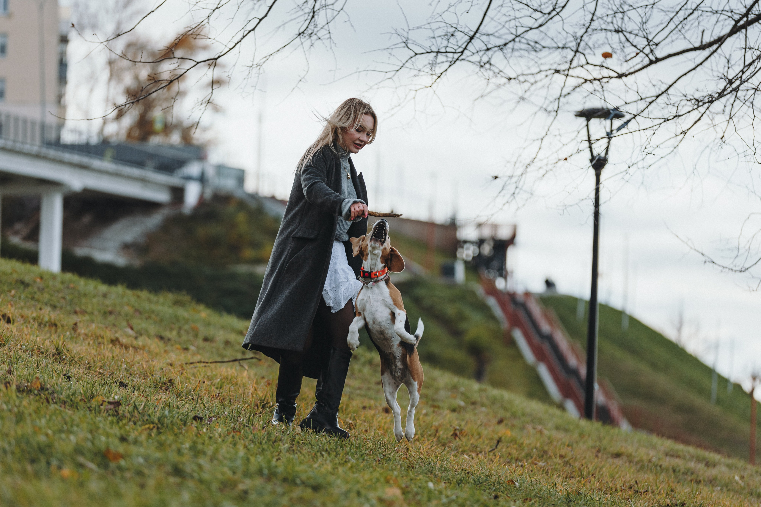 Аня и Моня. Фотограф — анималист Светлана Кысса|фотограф собак в Краснодаре и Нижнем Новгороде