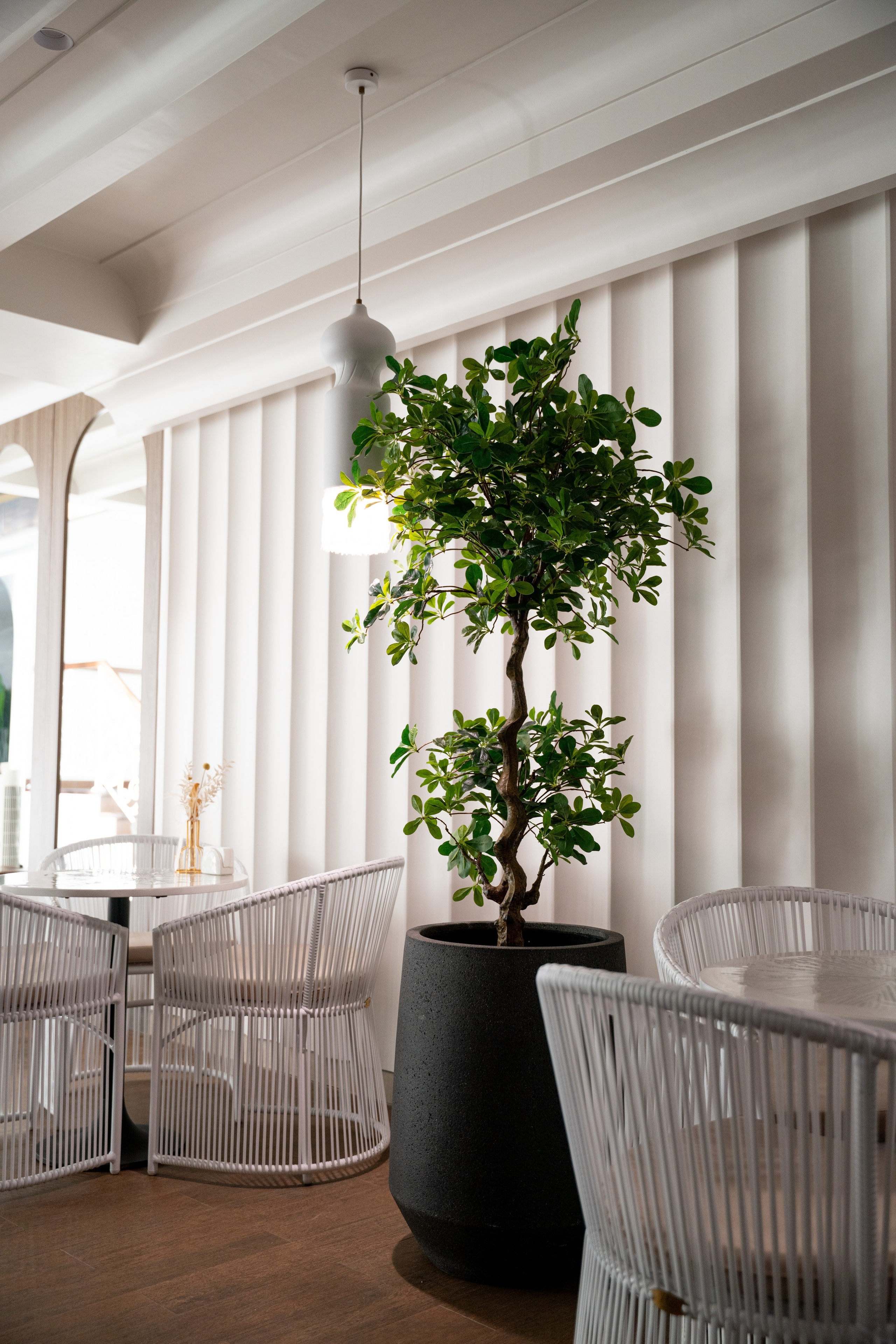 БУТА СПА. Фотограф на любое мероприятие