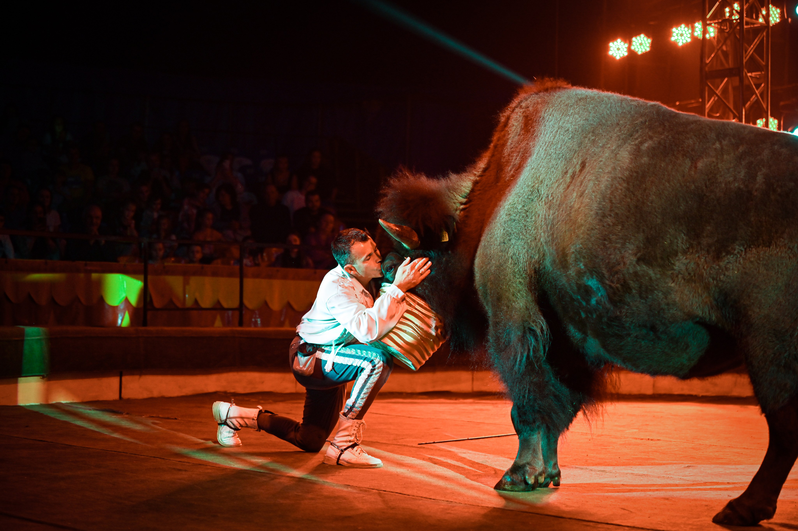 Шоу. Мария Черных — портретный и семейный фотограф в Краснодаре
