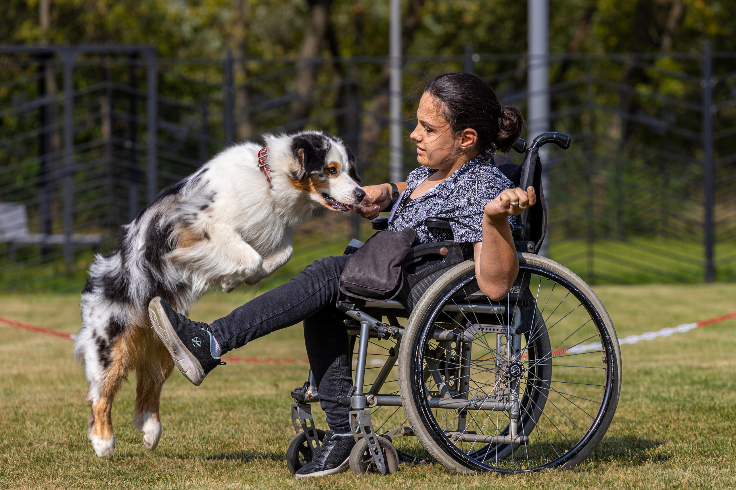 Съемка мероприятия: конкурс по танцам с собаками. Фотография. Юрий Савин