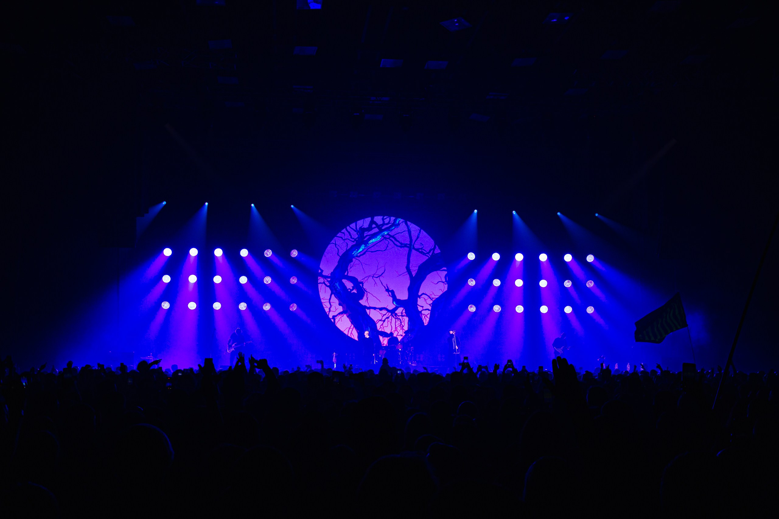 25/17 / САНКТ-ПЕТЕРБУРГ / 2024. OOPS